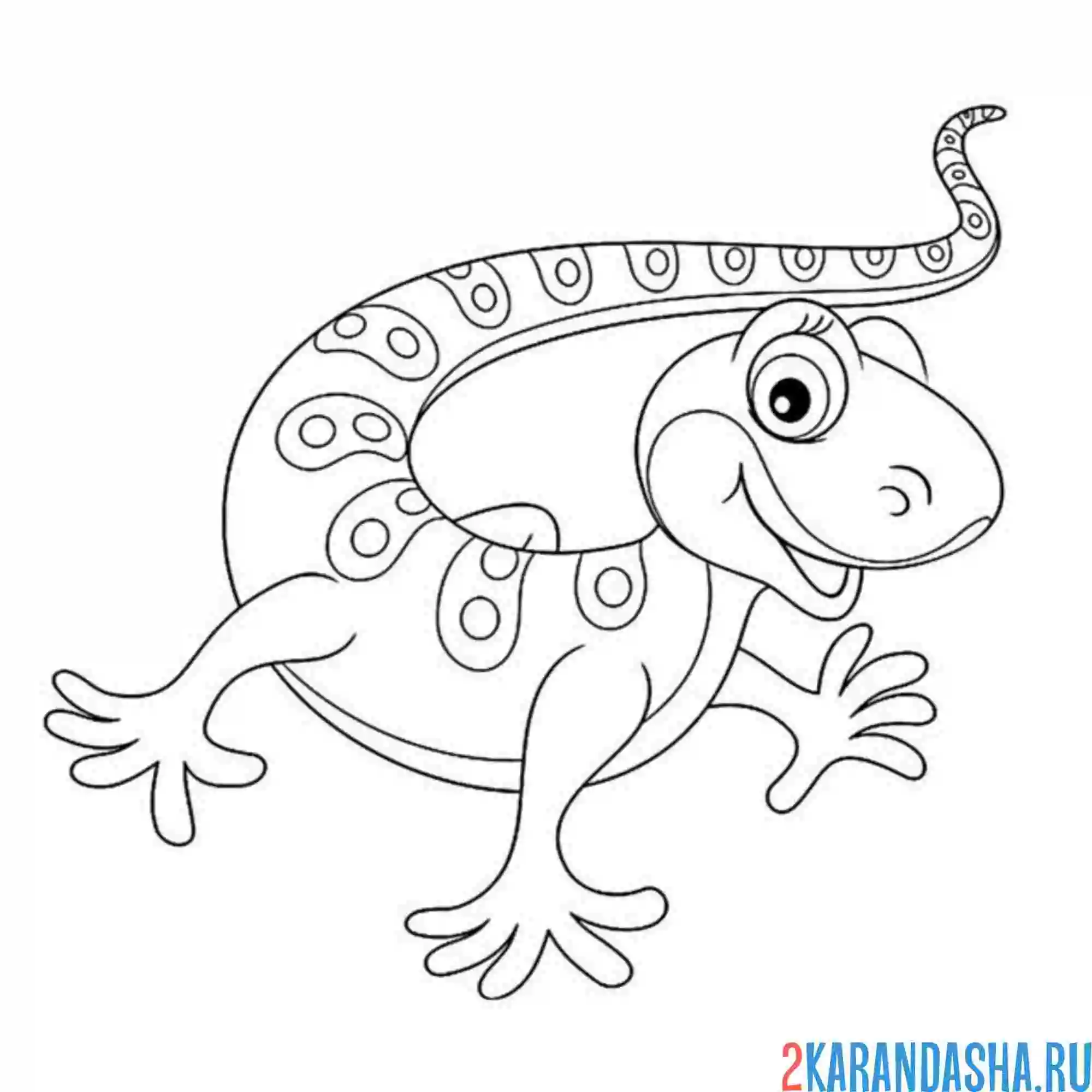 Раскраска улыбчивая ящерица