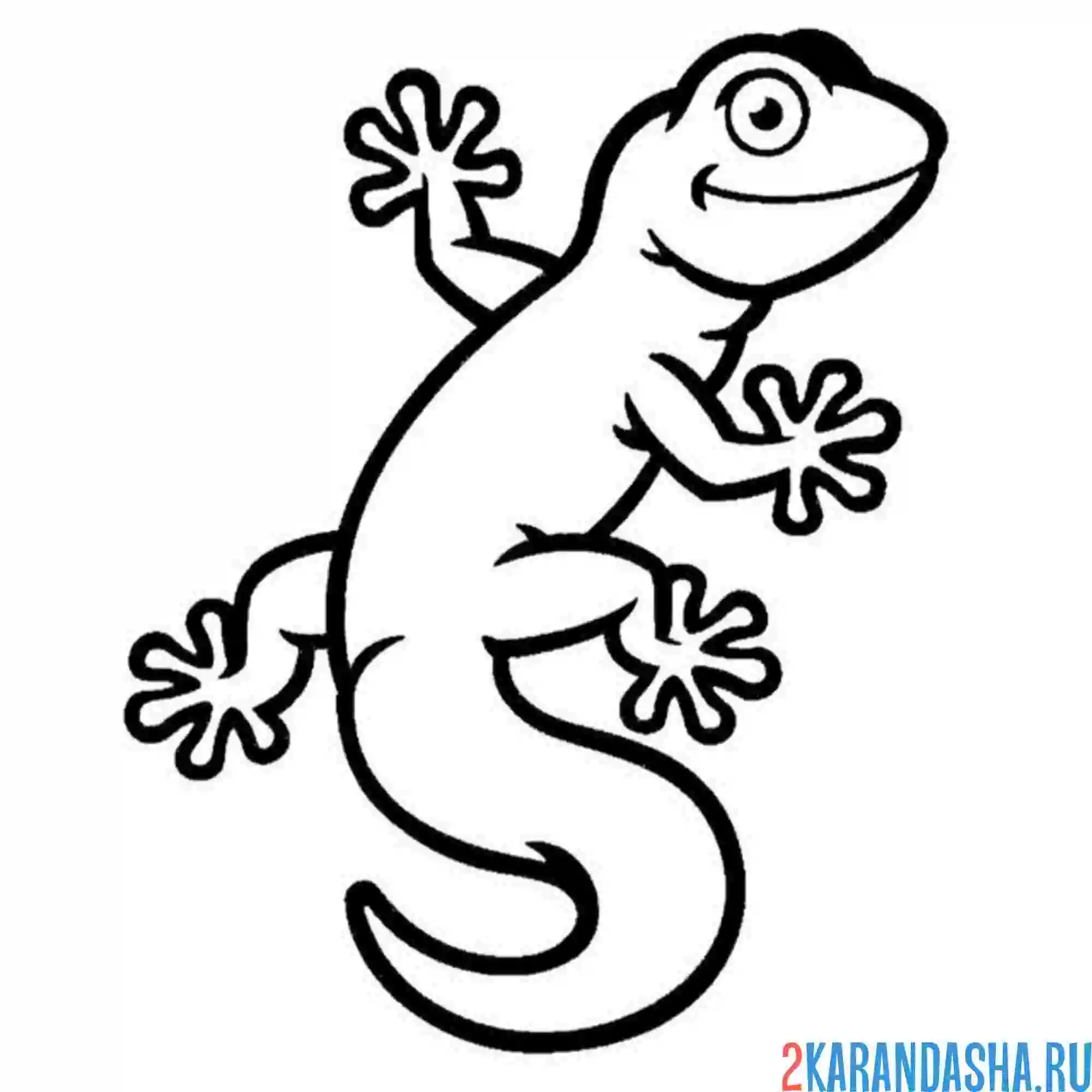 Раскраска хорошенькая ящерица