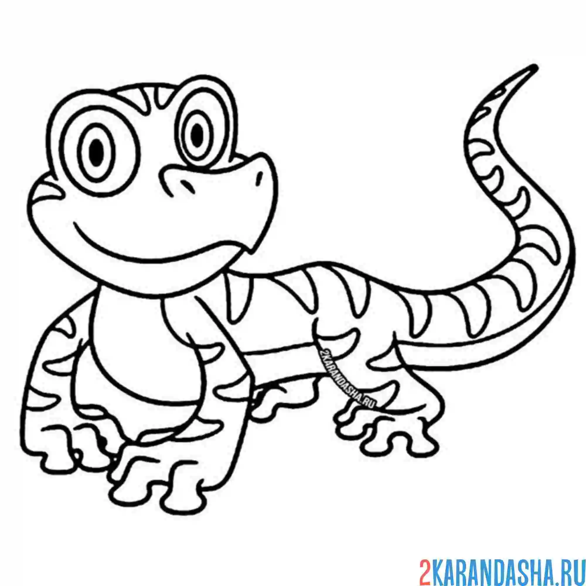 Раскраска ящерица смотрит