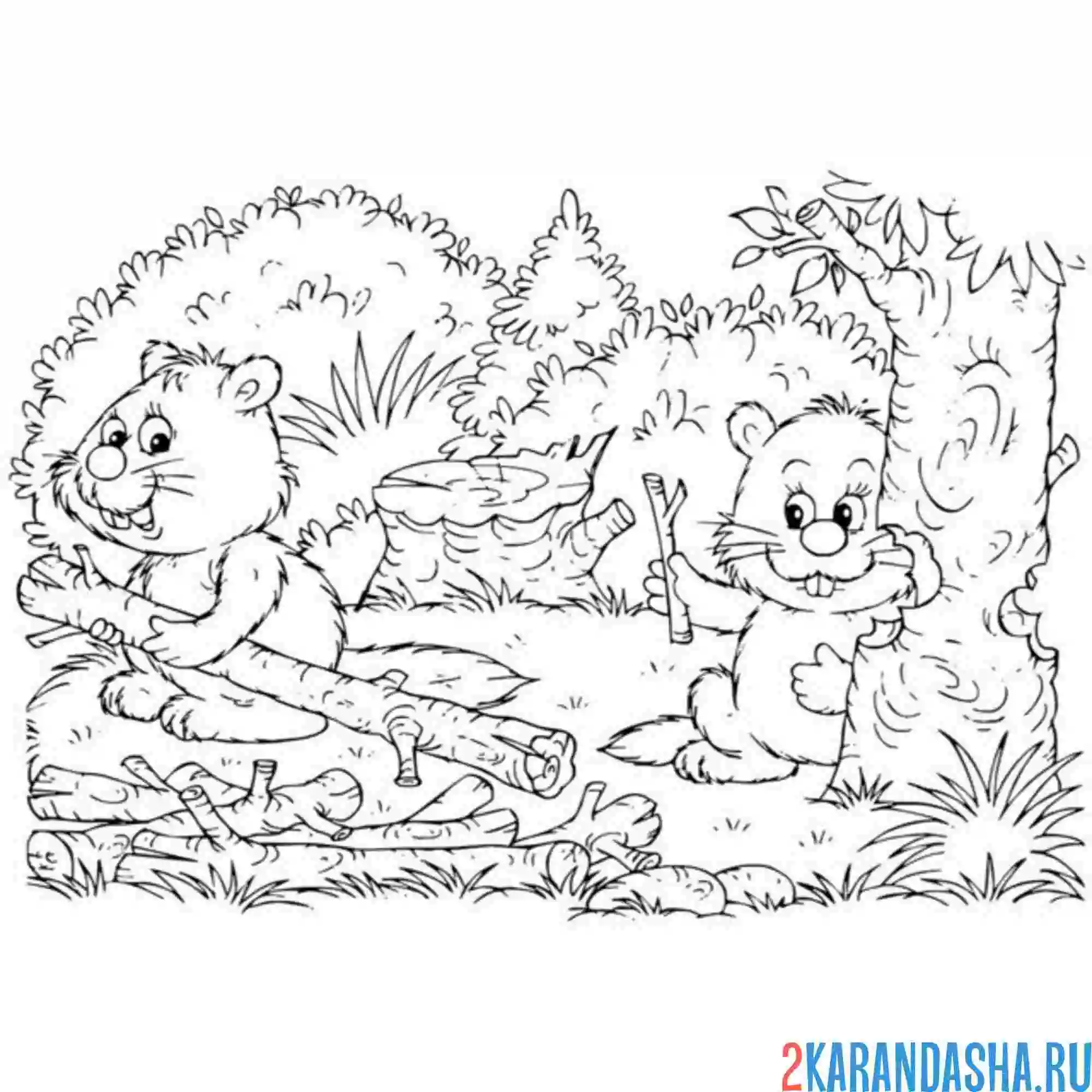 Раскраска бобры и деревья