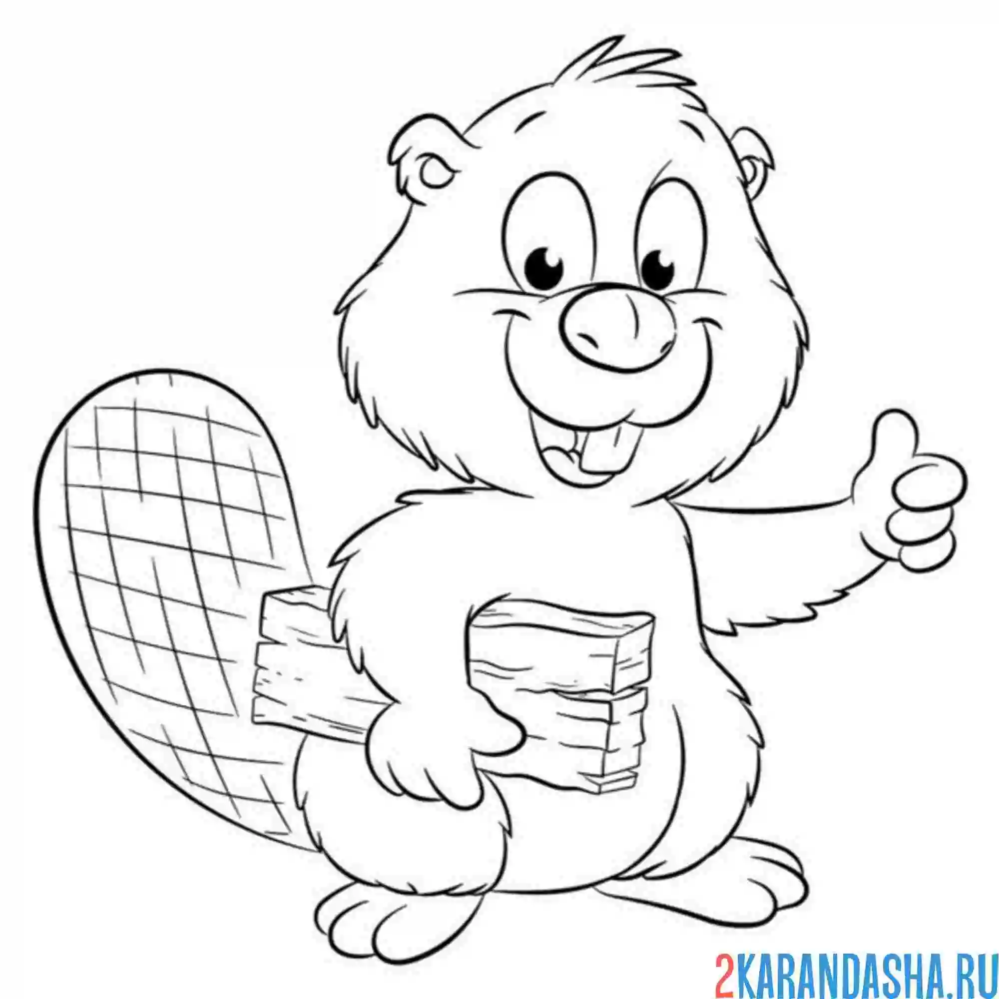 Раскраска бобер и деревяшка