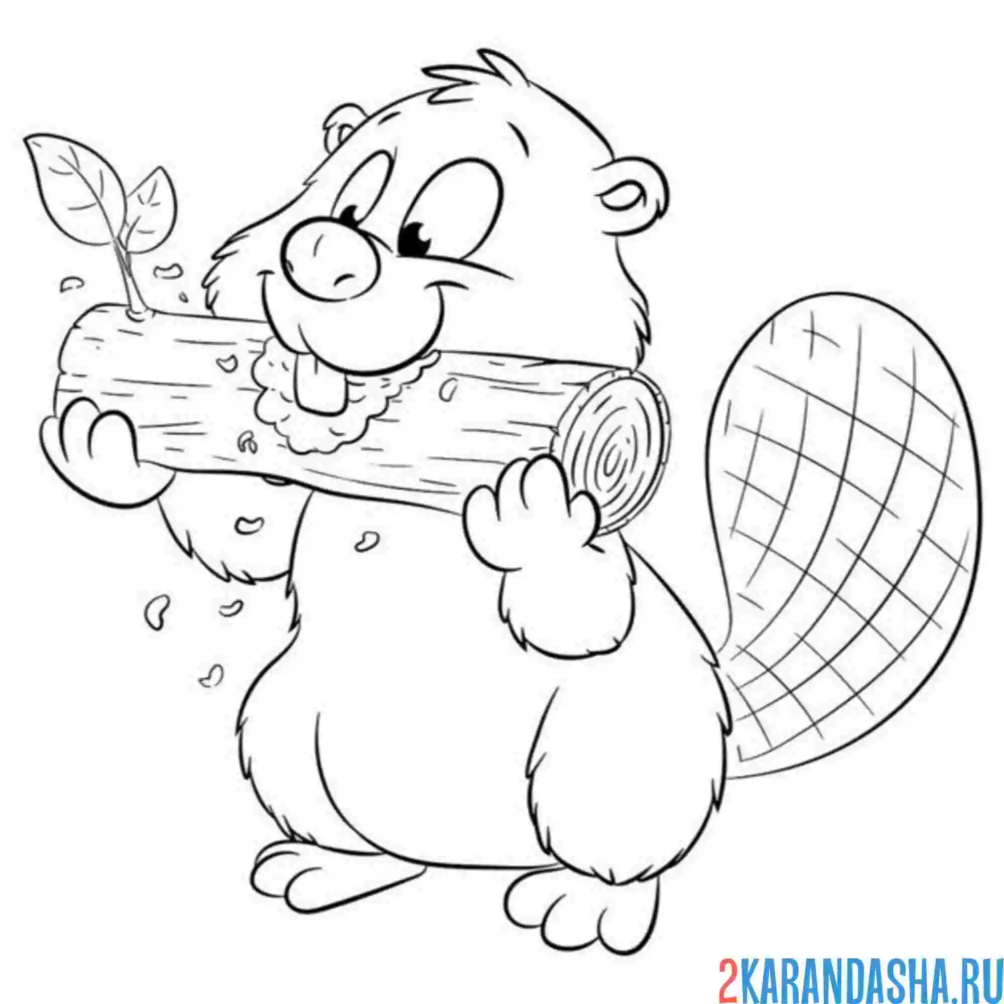 Раскраска бобер грызет деревяшку