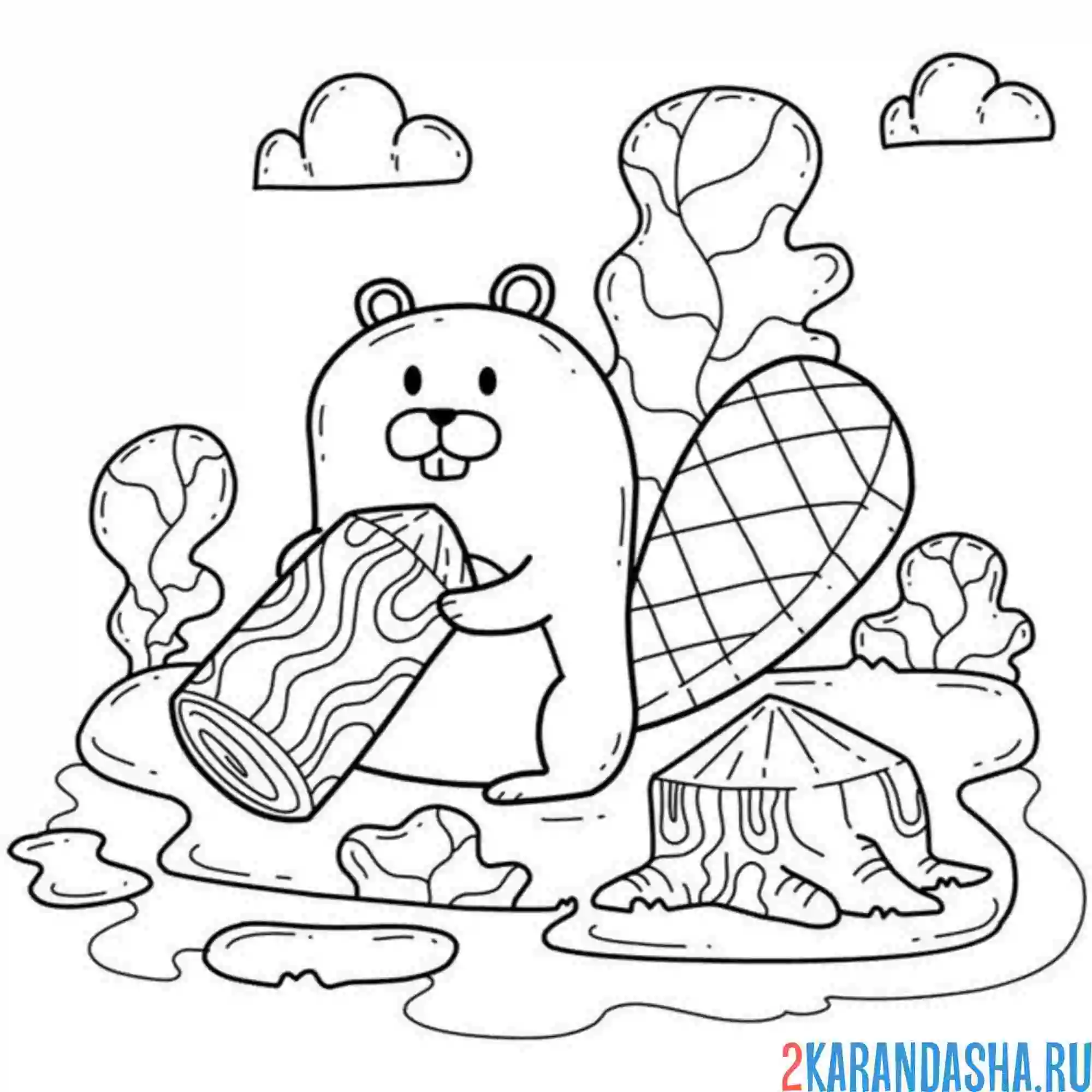 Раскраска бобр труженик