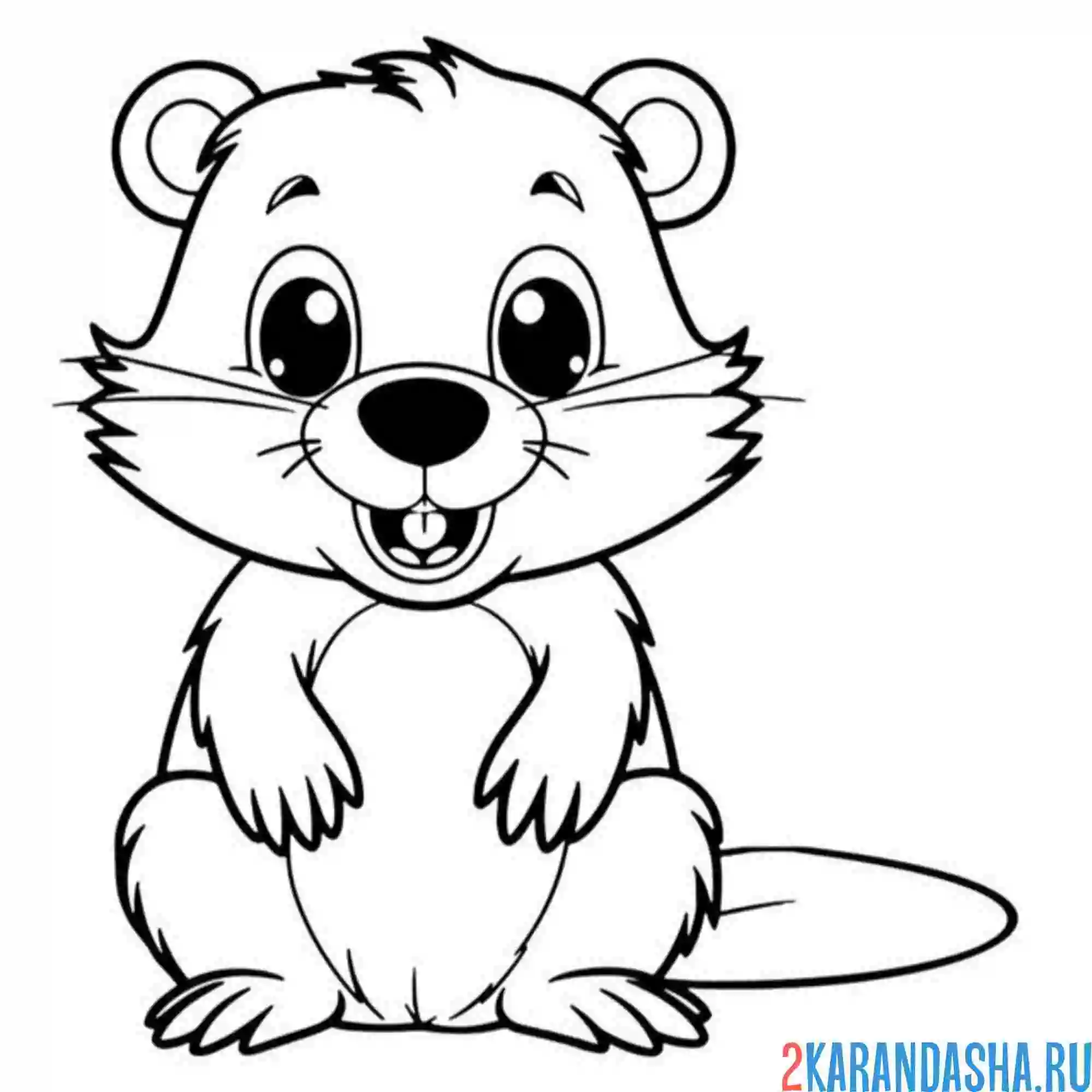 Раскраска мультяшный бобр