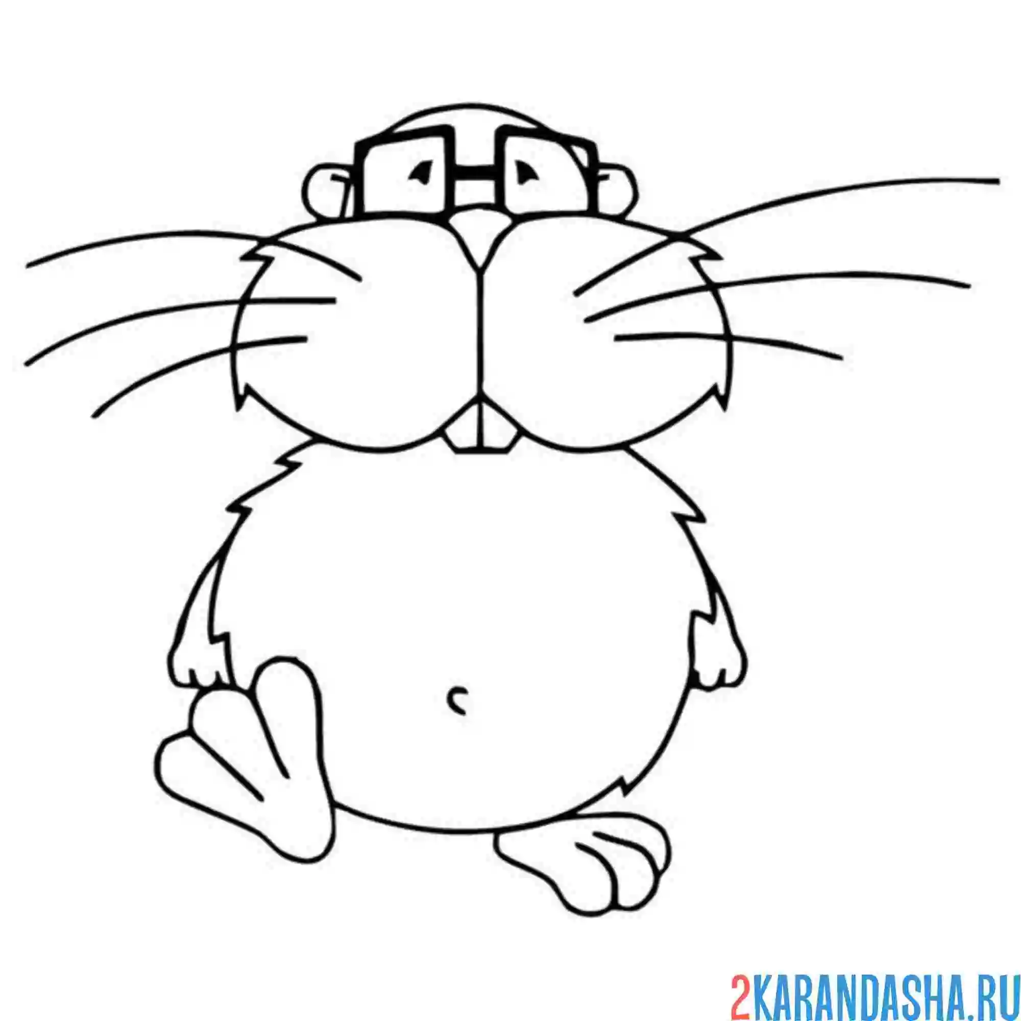 Раскраска бобр в очках