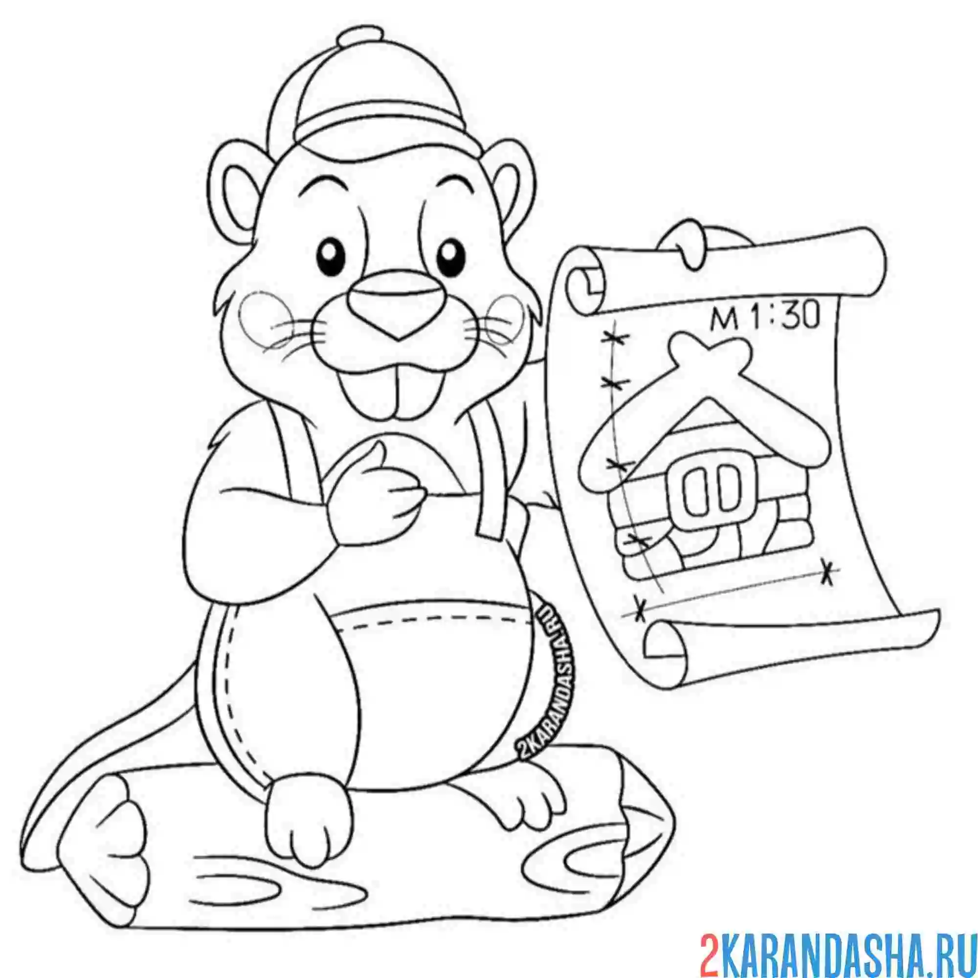 Раскраска бобр прораб