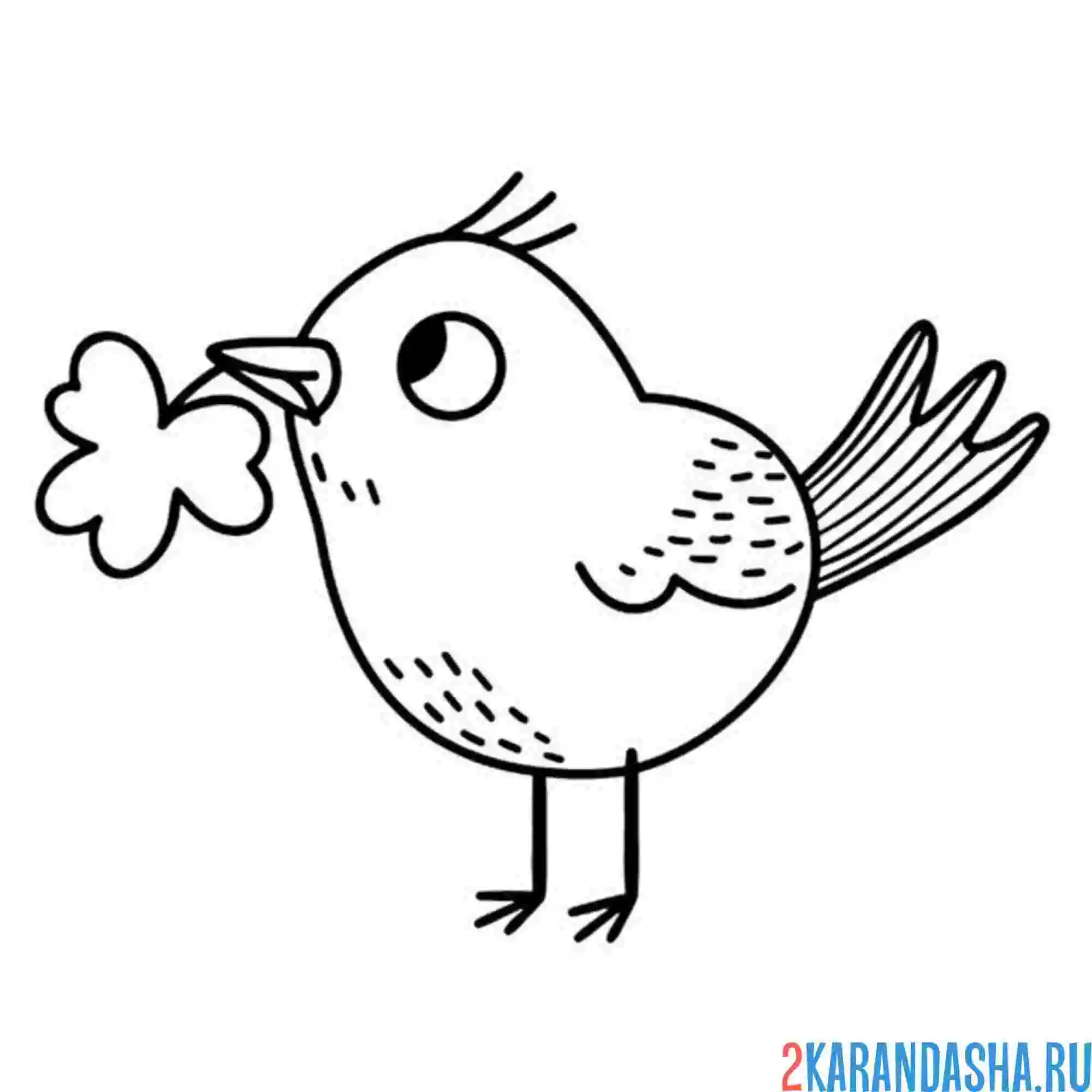 Раскраска воробей и веточка