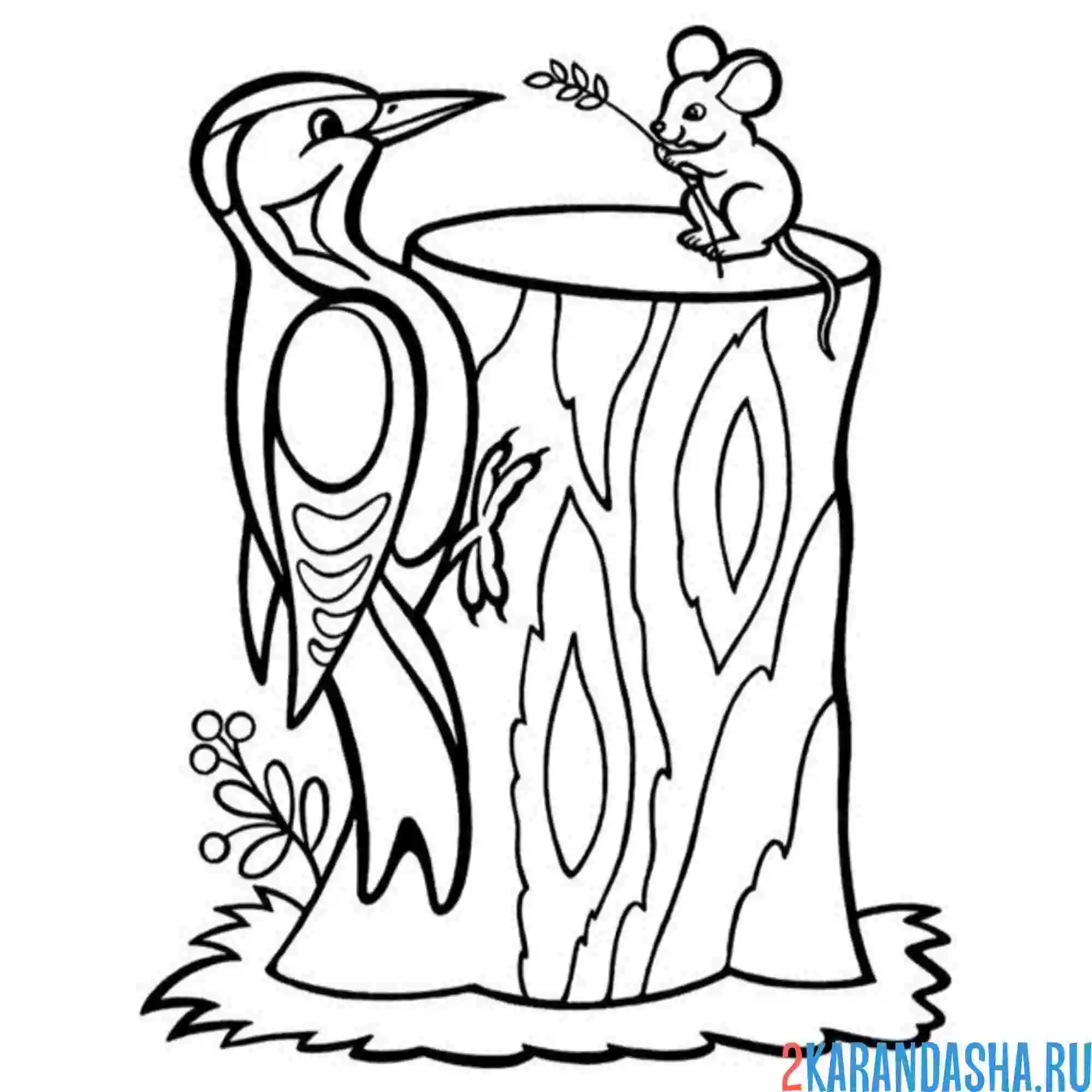 Раскраска дятел и мышка