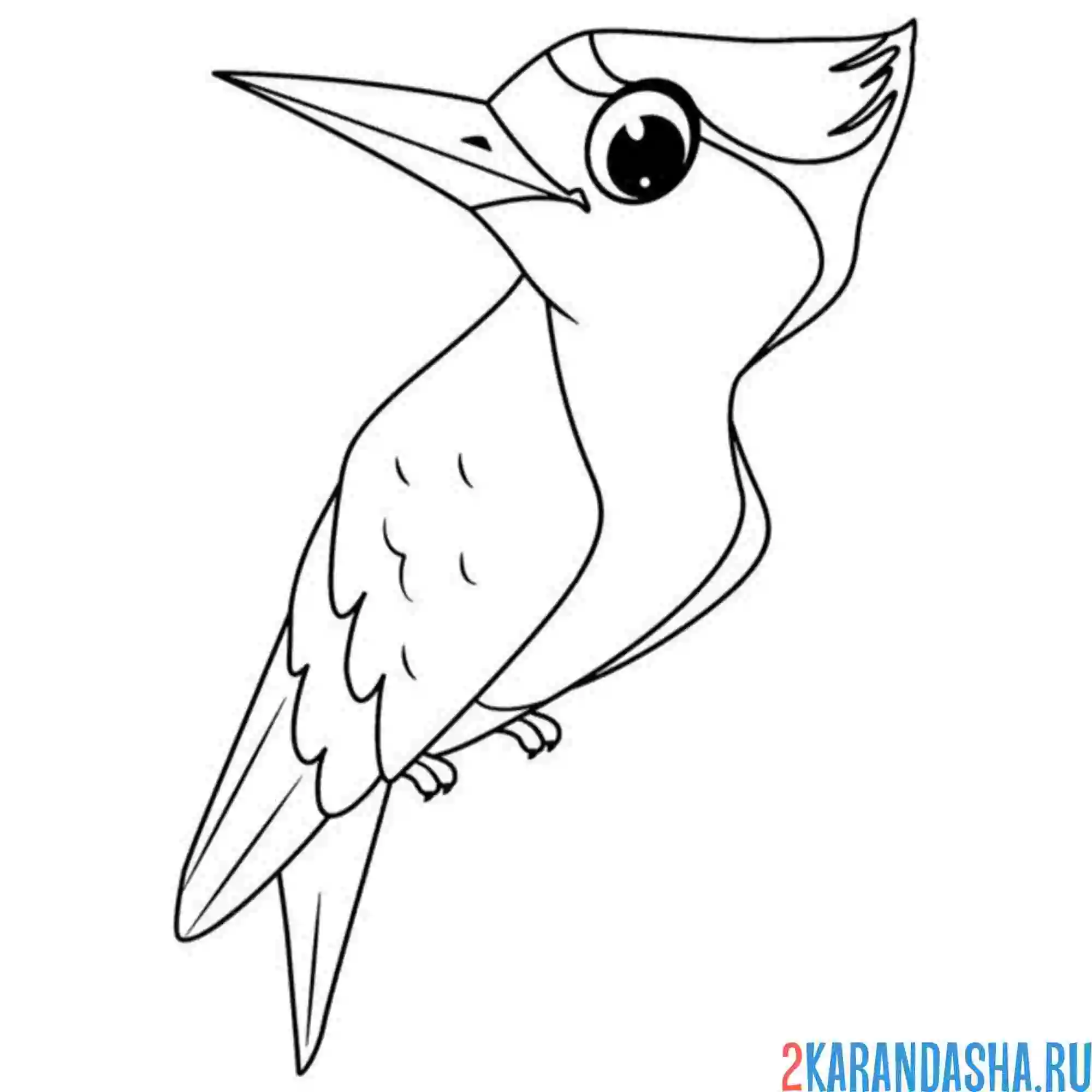 Раскраска милый дятел