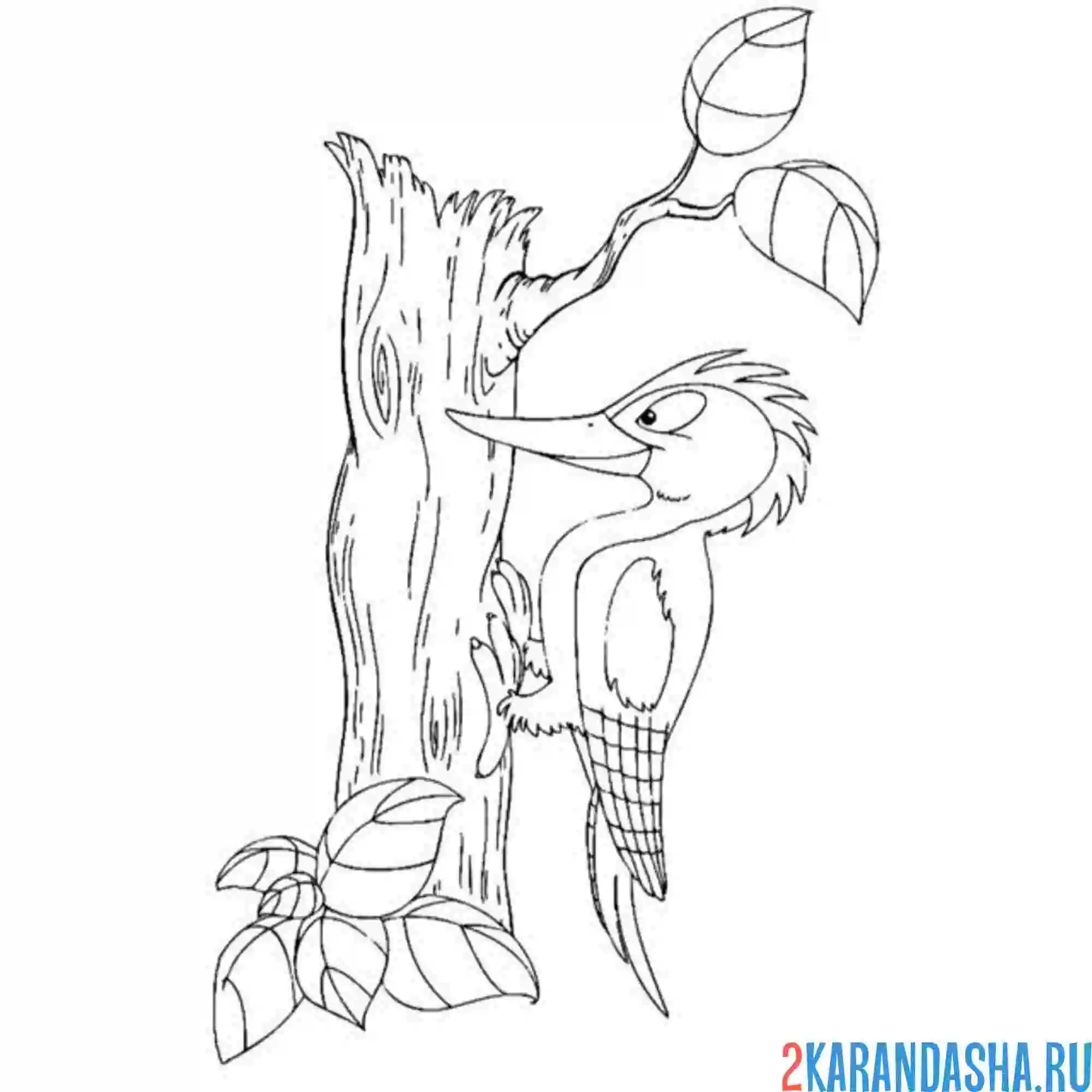 Раскраска дятел долбит бревно