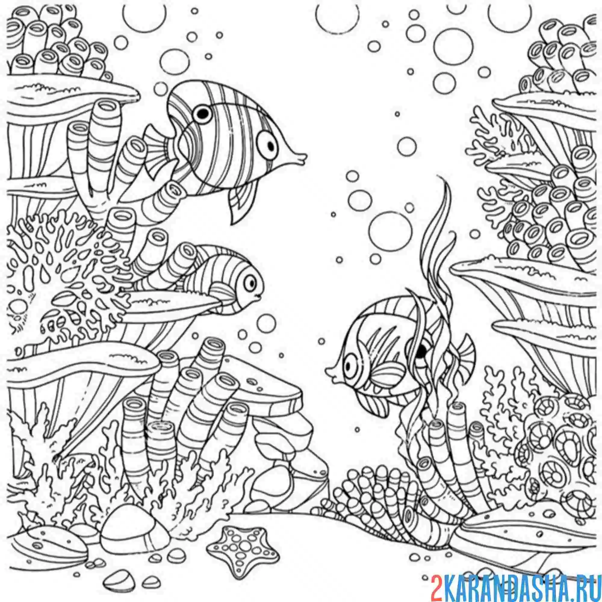Раскраска морское дно с рыбками