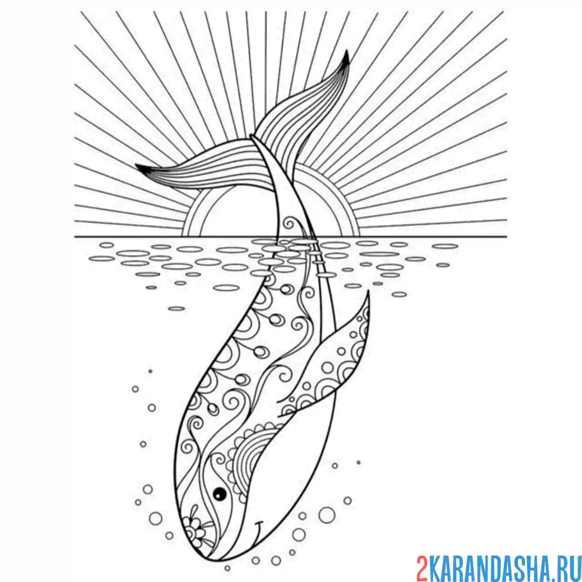 Раскраска кит на закате море