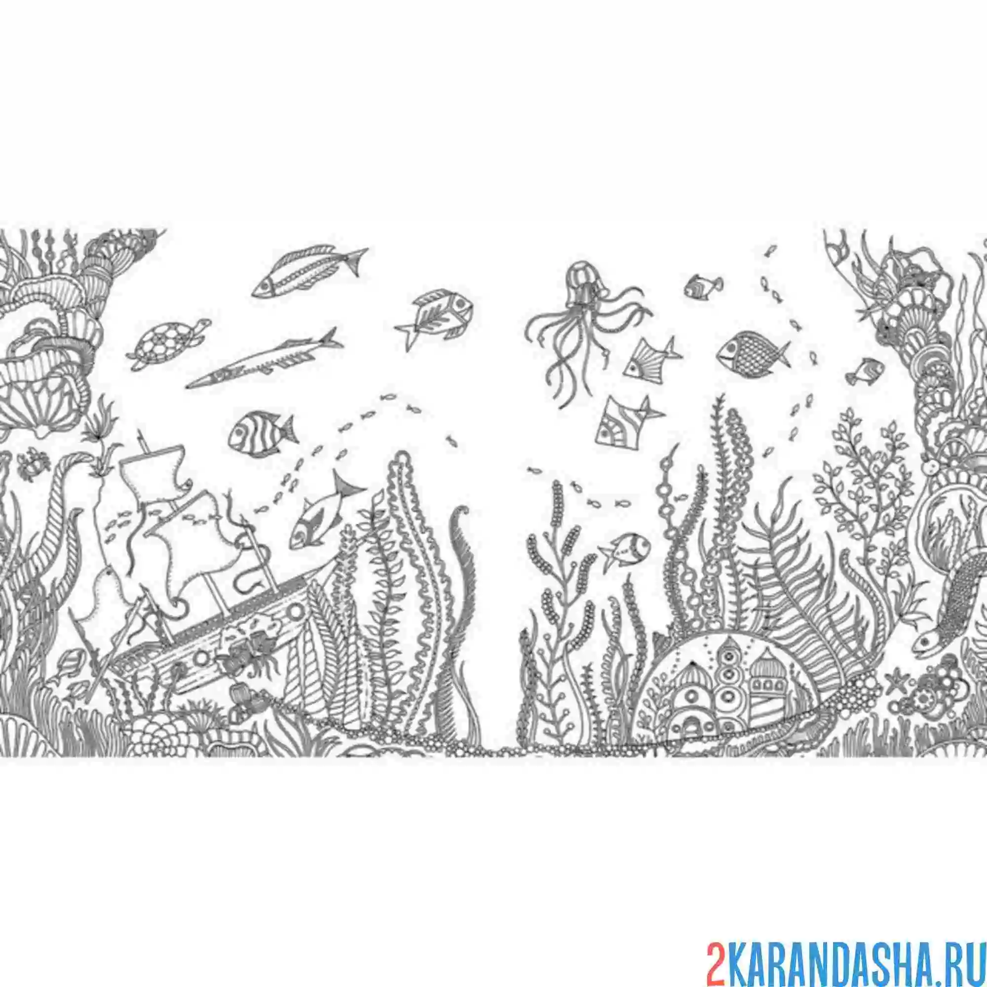 Раскраска морское дно