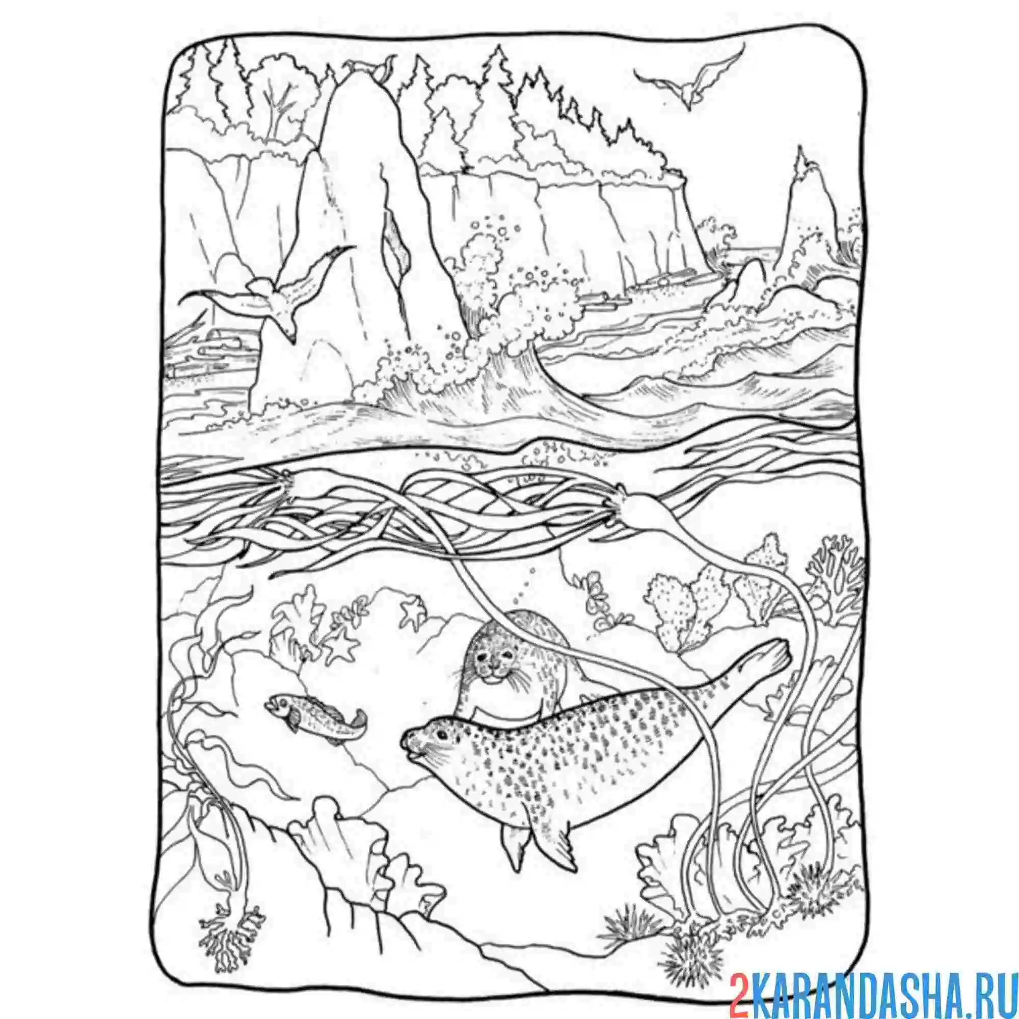 Раскраска море океан животные