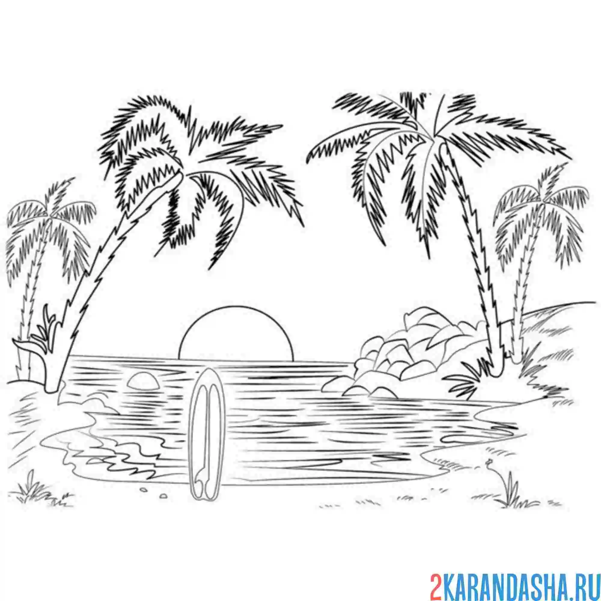 Раскраска пальмы и море
