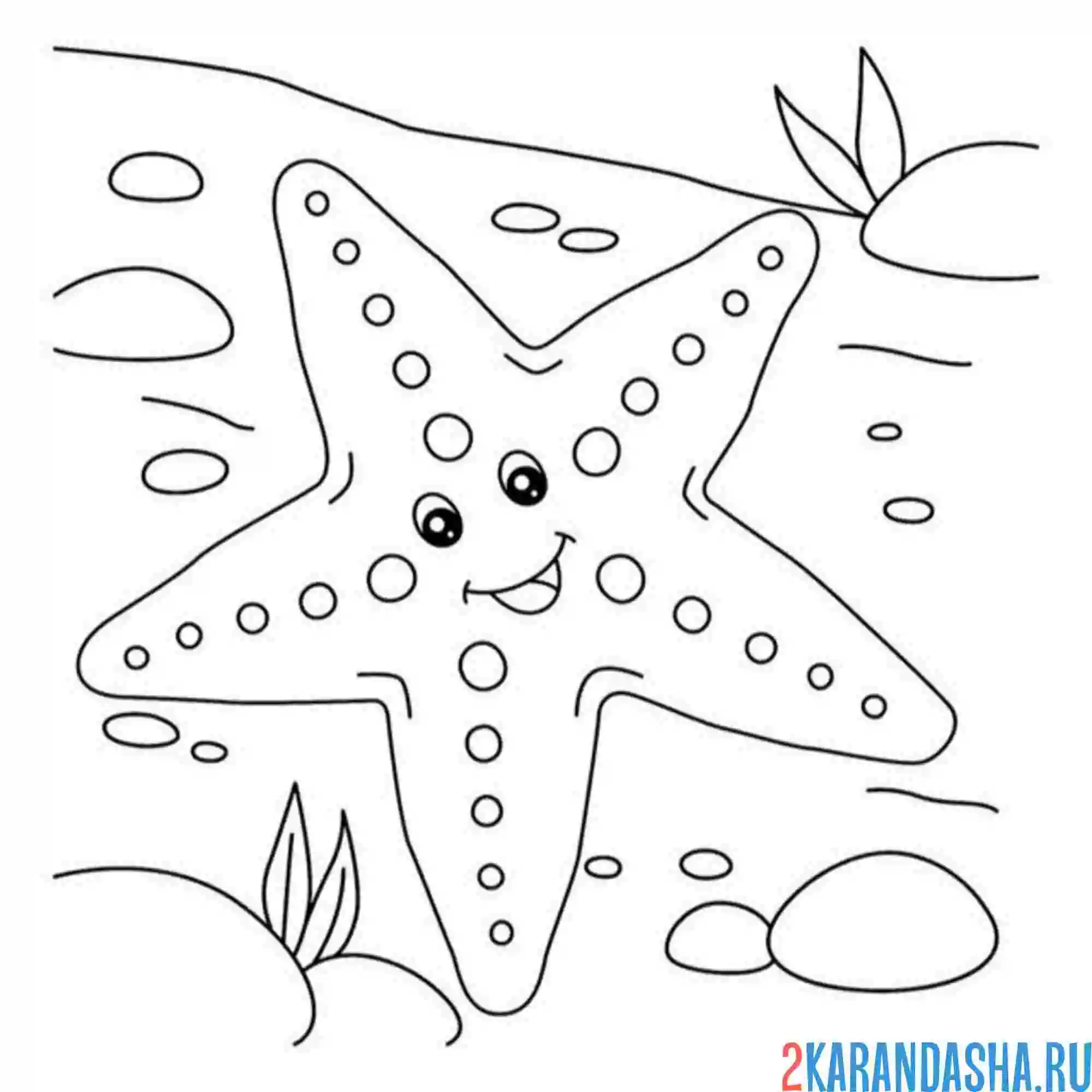 Раскраска морская звезда в море