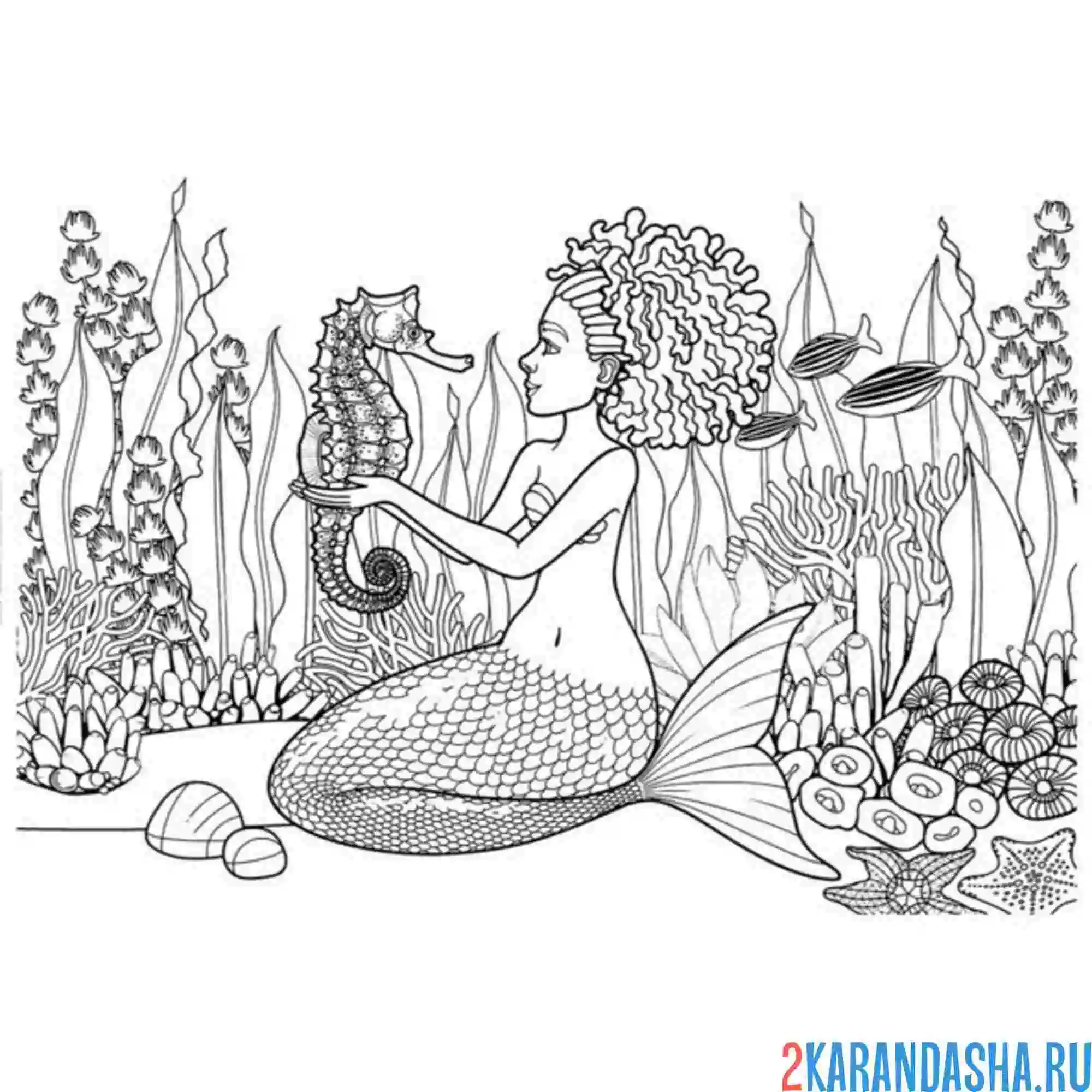 Раскраска русалка на дне моря