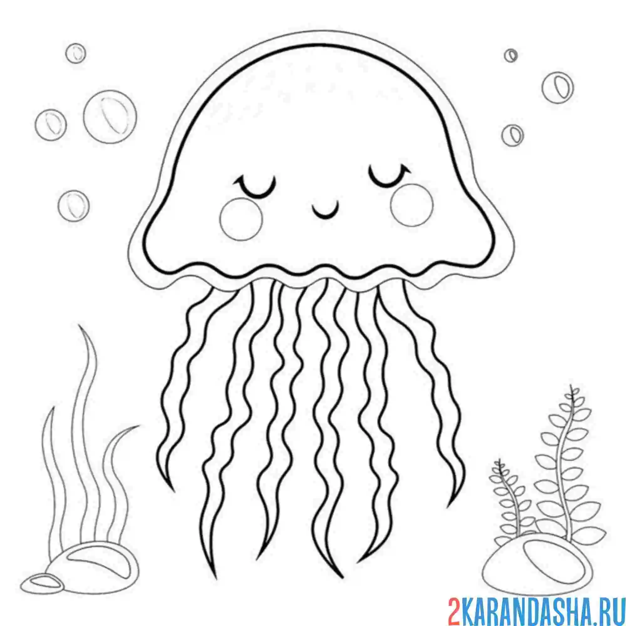 Раскраска медуза спит