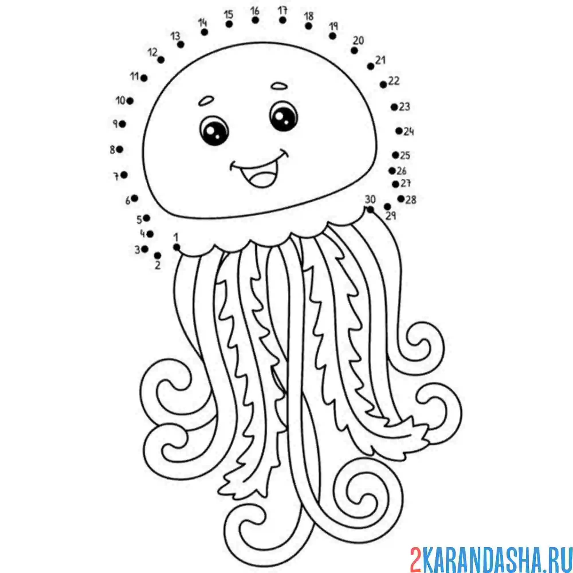 Раскраска медуза по цифрам