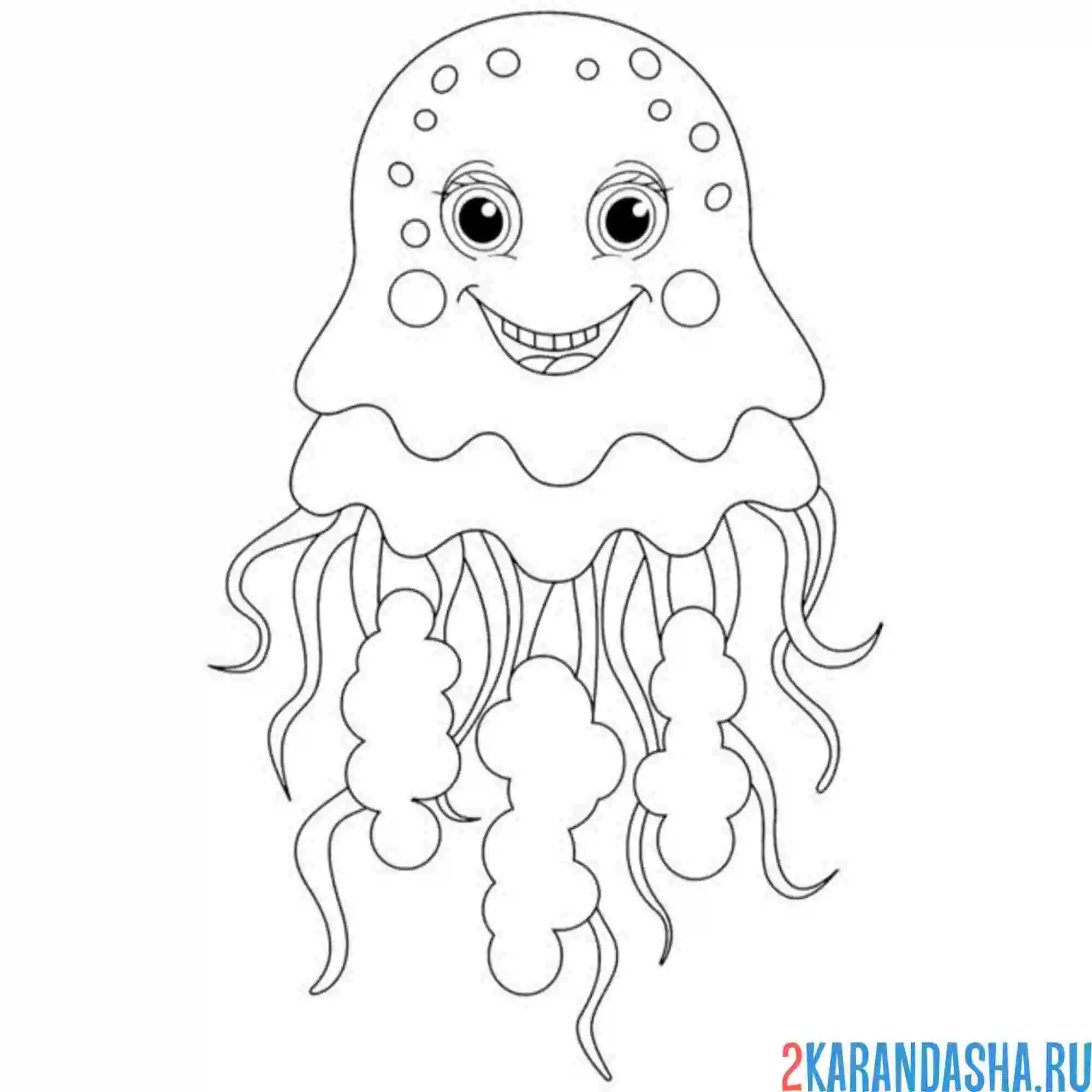 Раскраска большая медуза