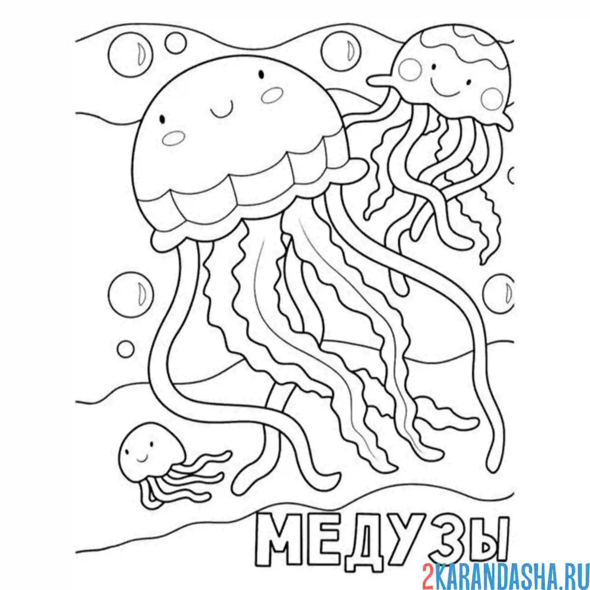 Раскраска медузы