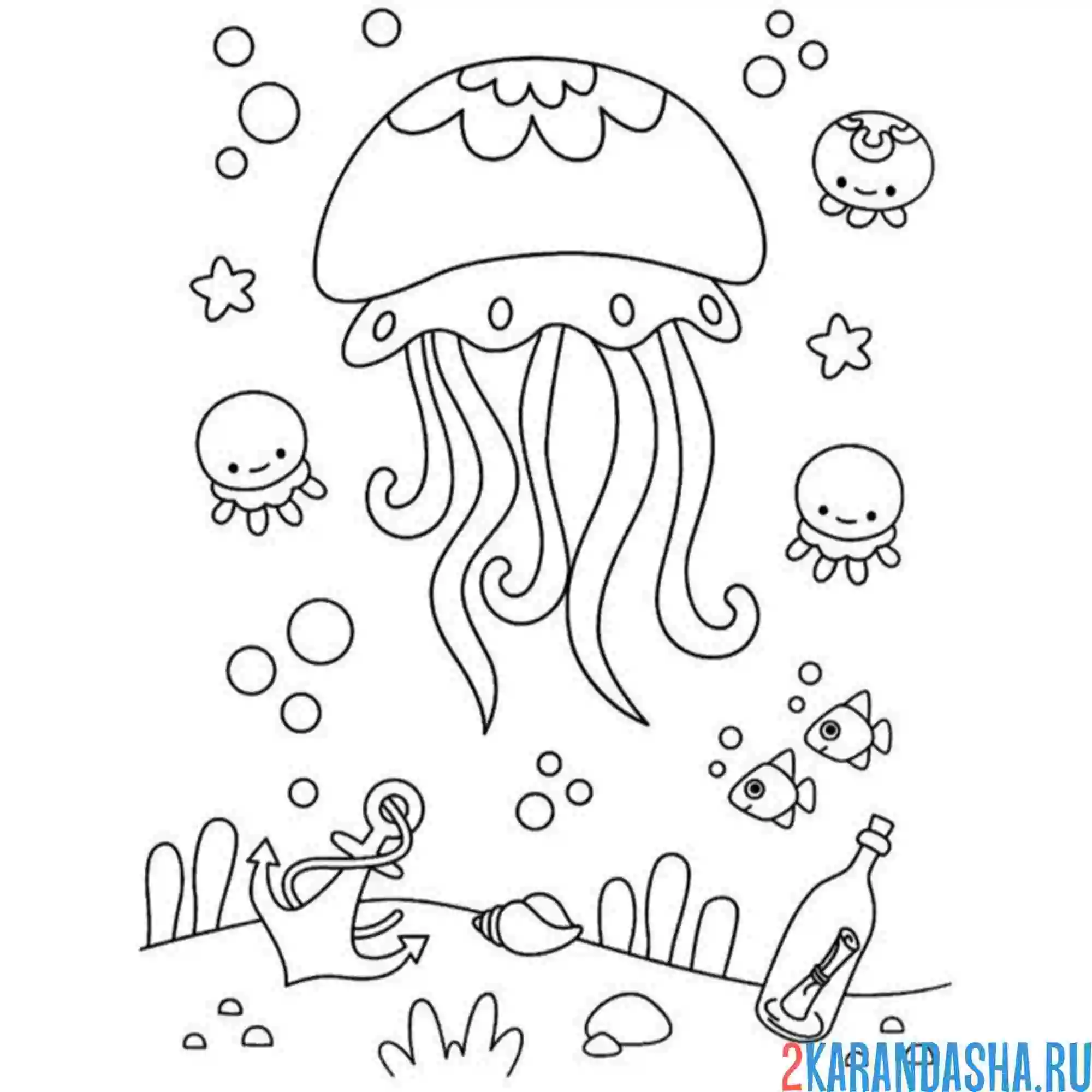 Раскраска много медуз плавает