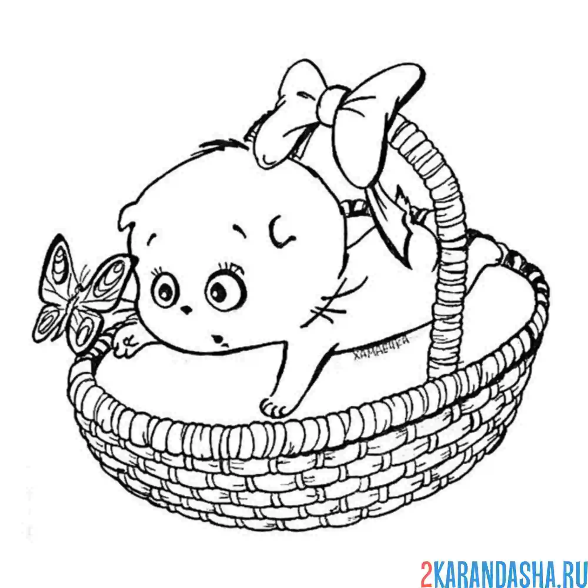 Раскраска басик в корзинке