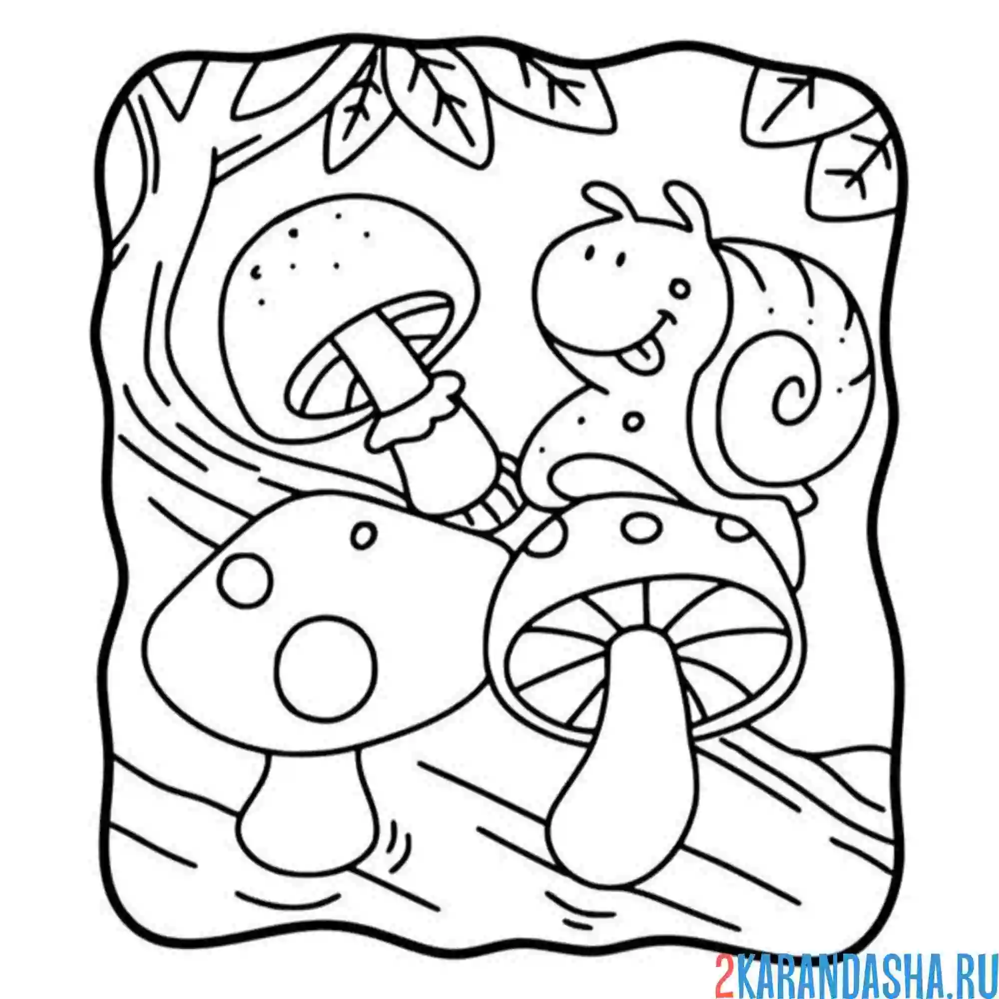 Раскраска улитка на грибе