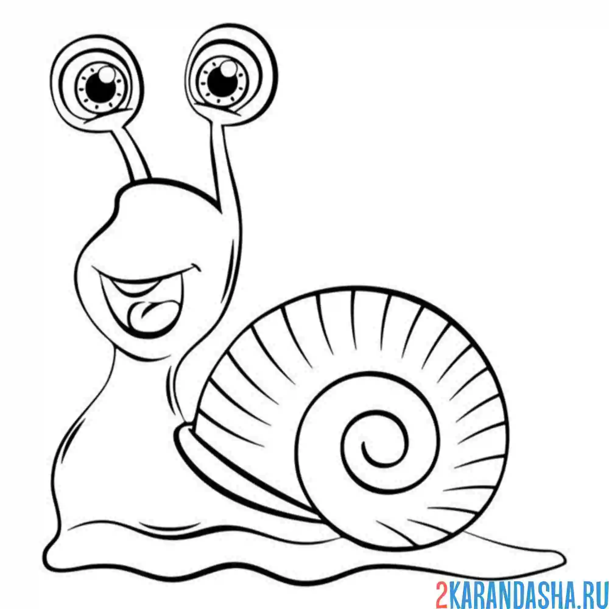 Раскраска улитка медленная