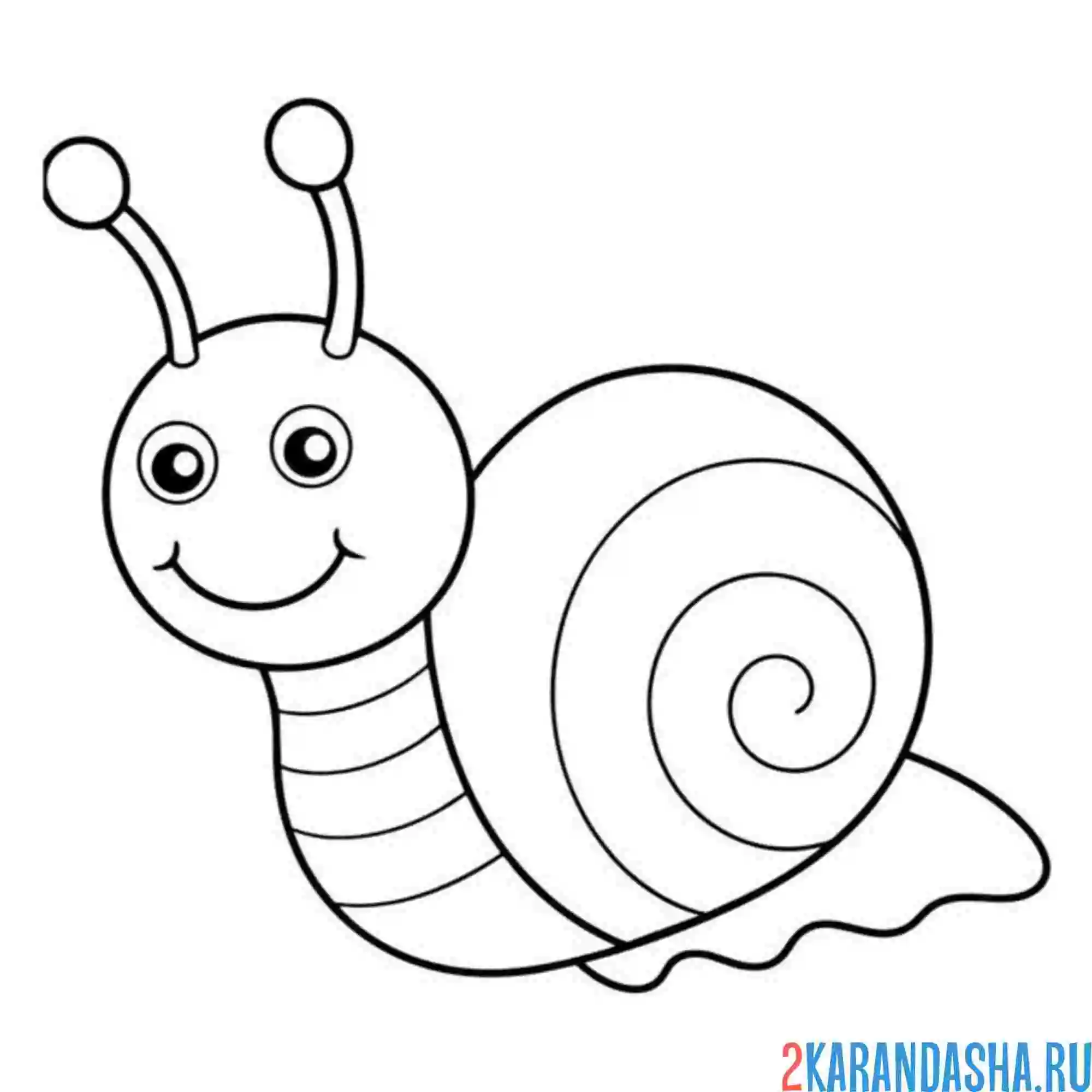 Раскраска улитка с усиками