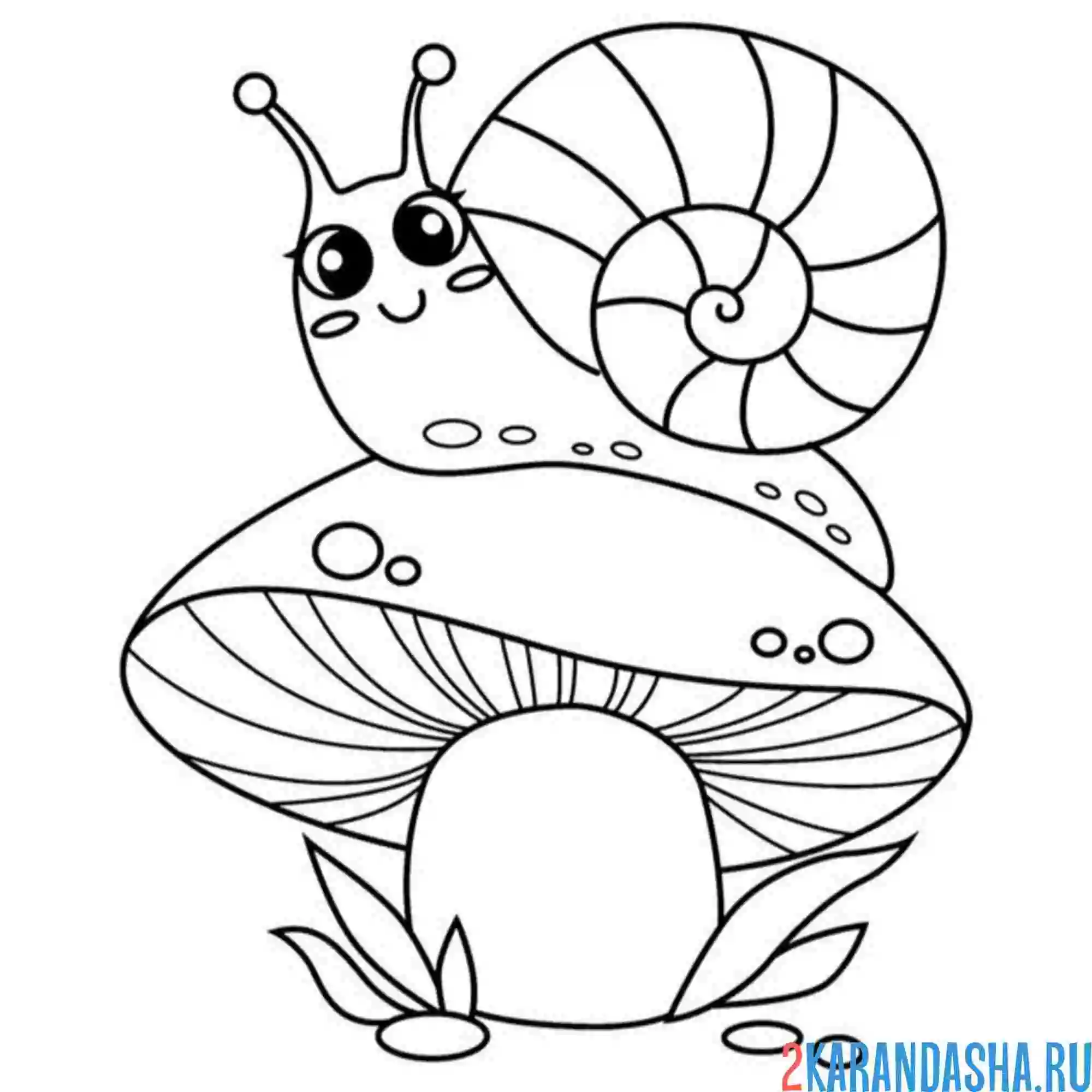 Раскраска улитка улыбака