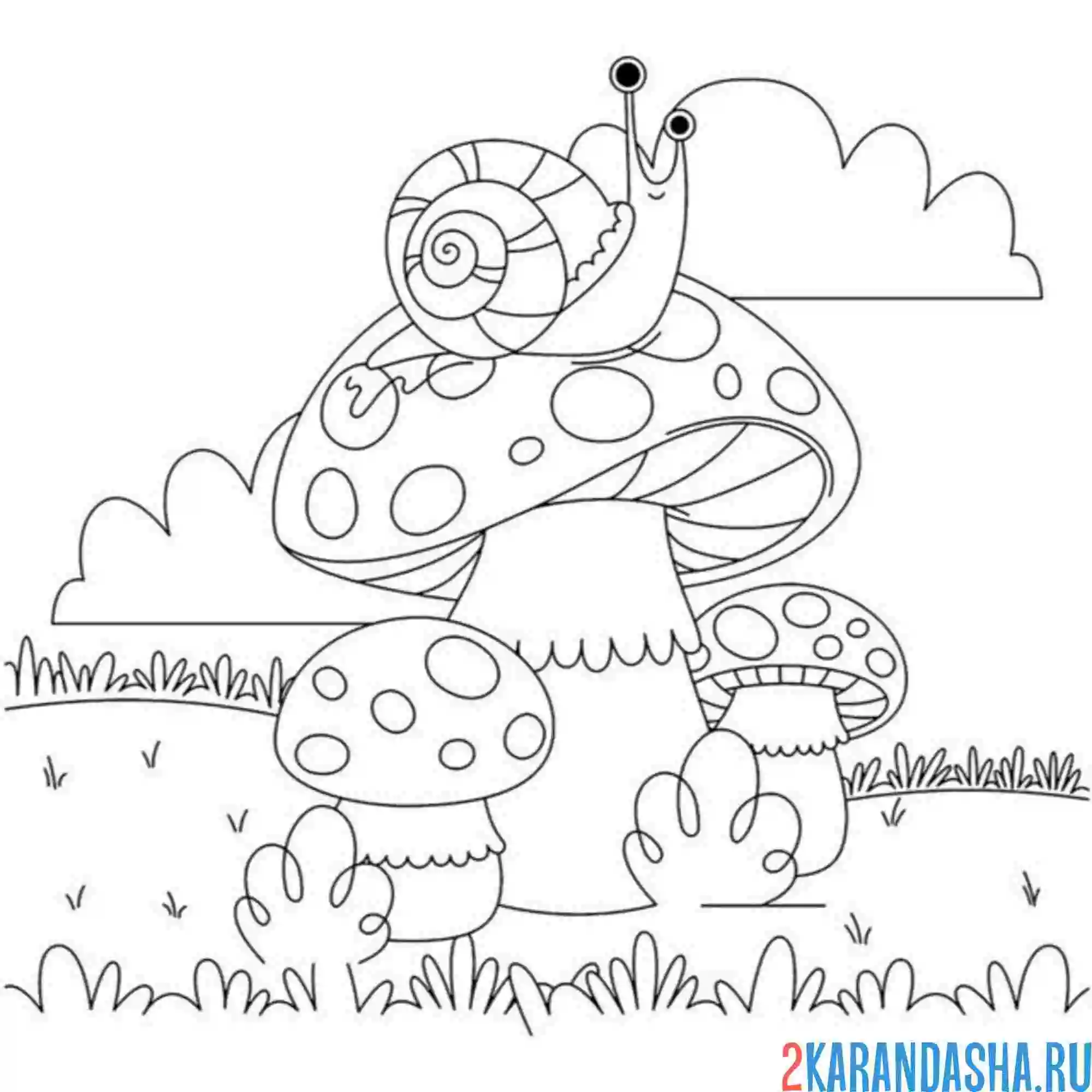 Раскраска улитка в лесу