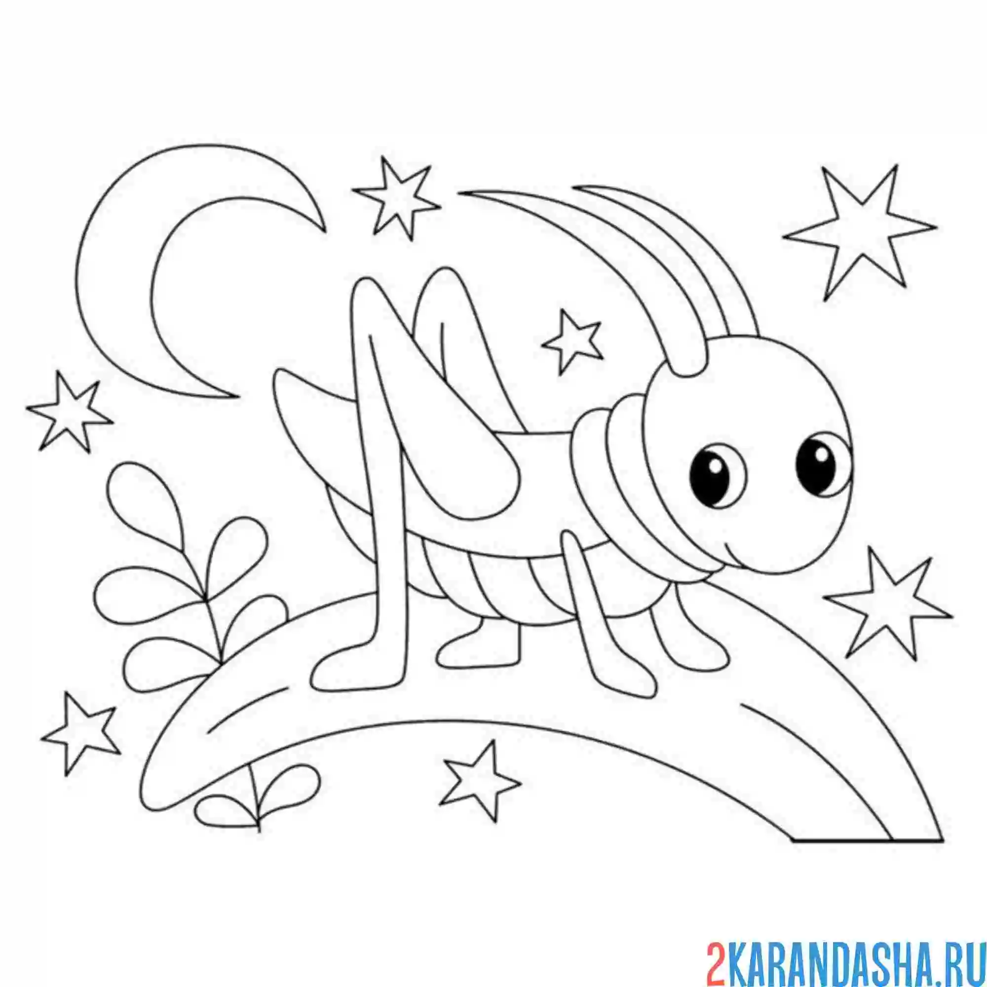 Раскраска кузнечик на травке