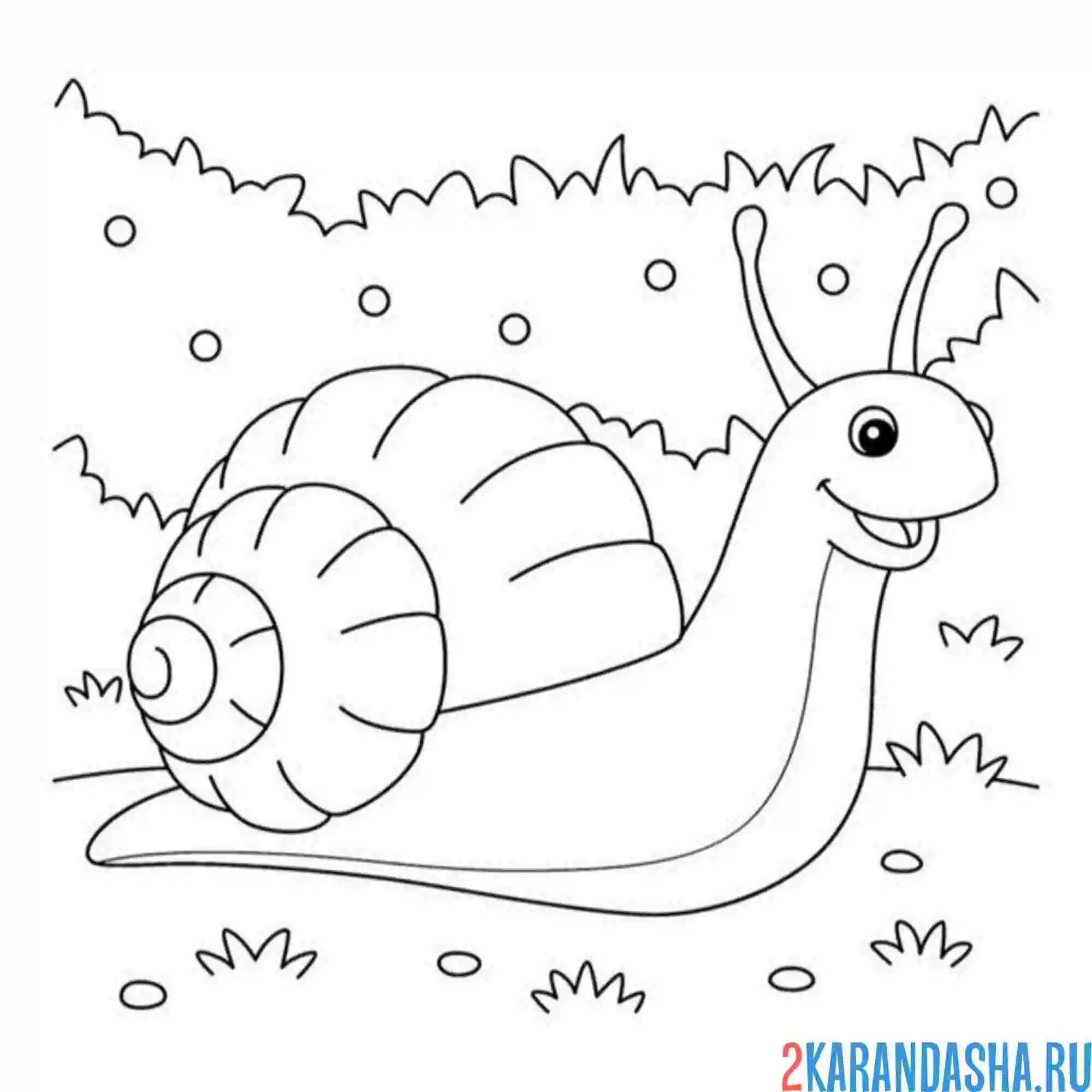 Раскраска улитка на травке