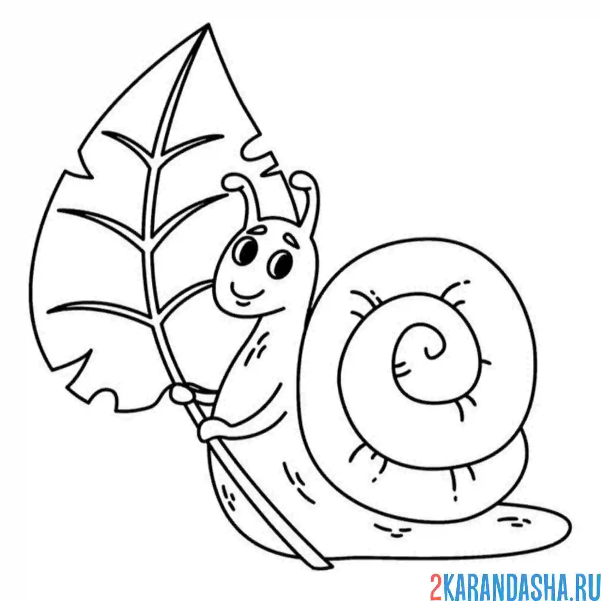 Раскраска улитка и листочек