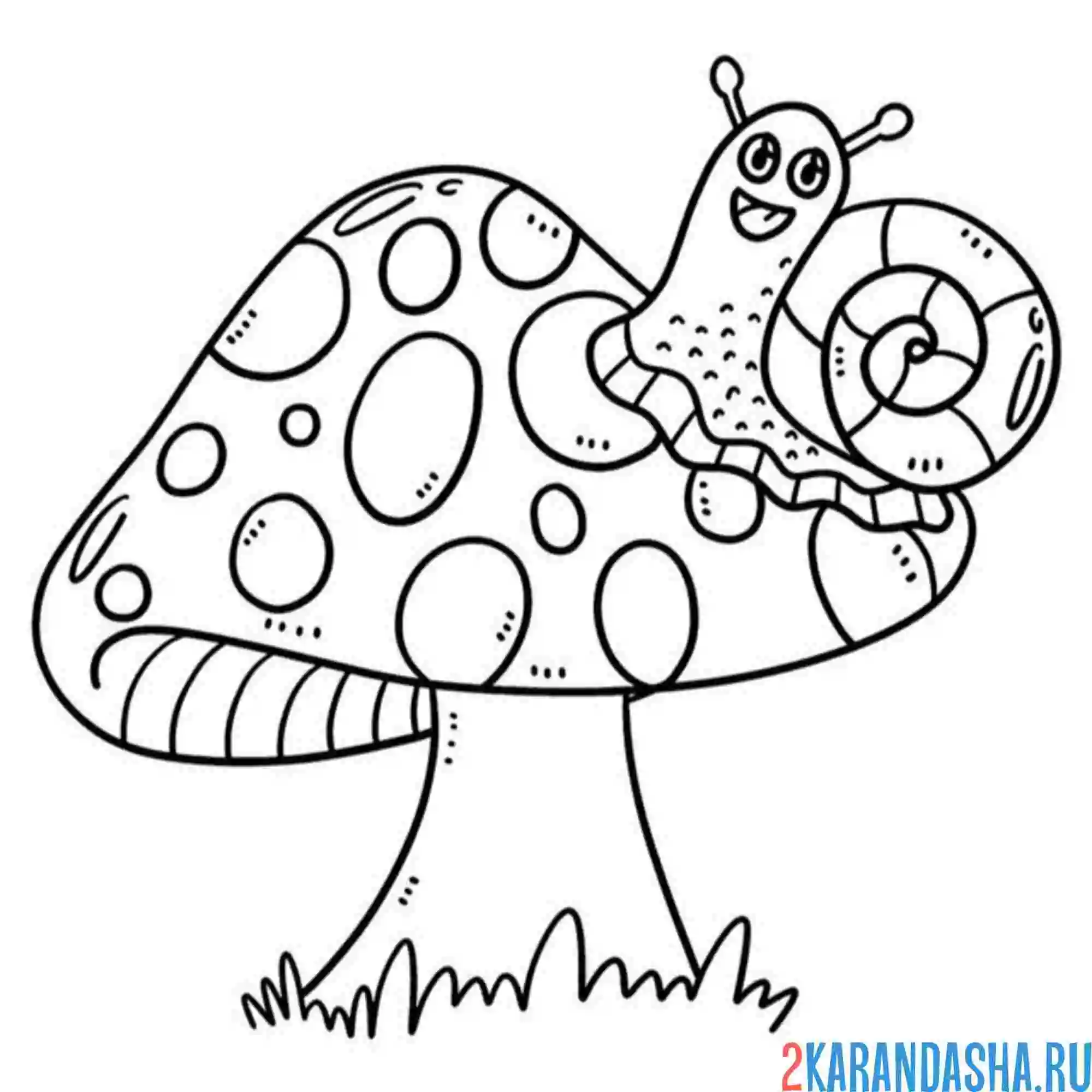 Раскраска улитка и мухомор