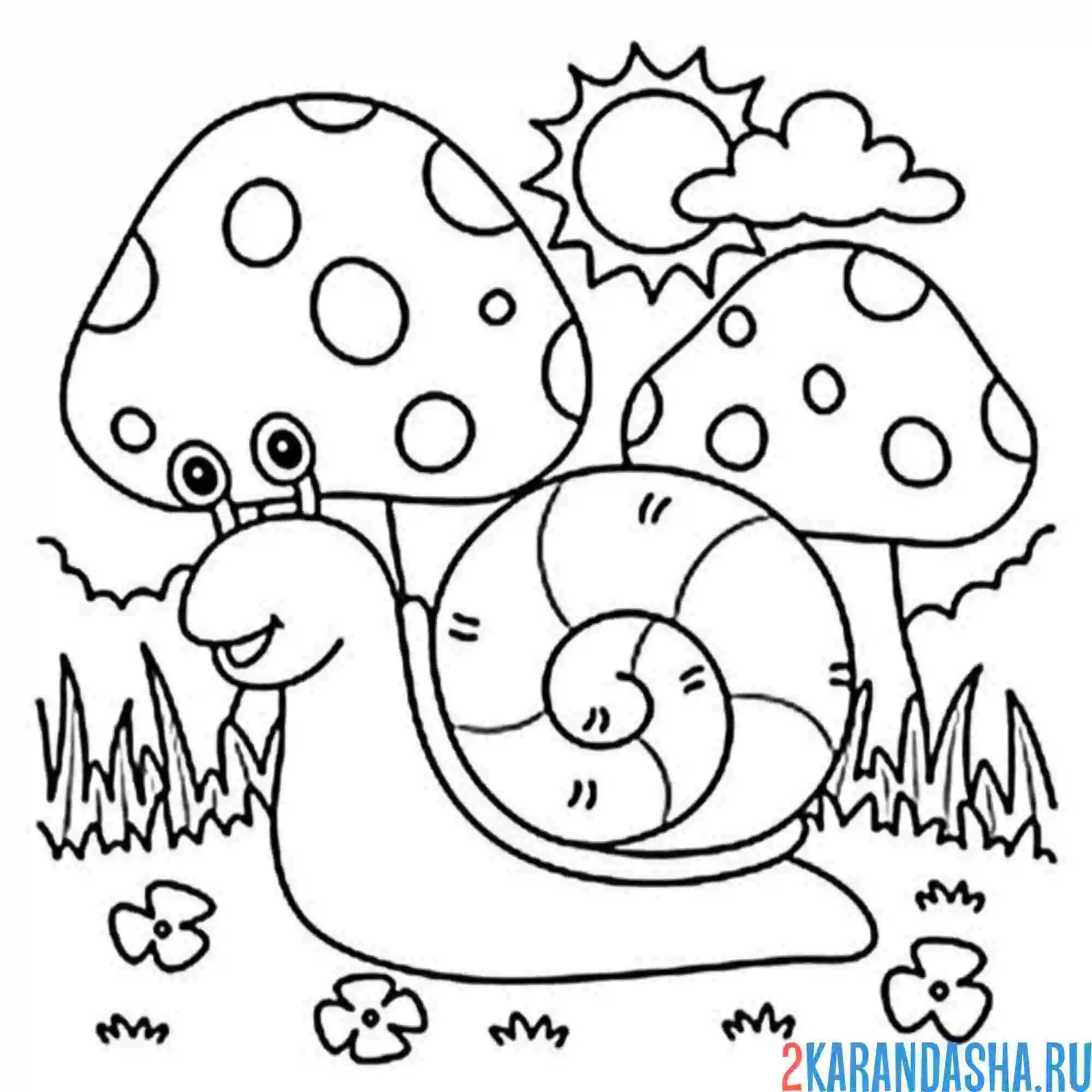 Раскраска улитка на природе