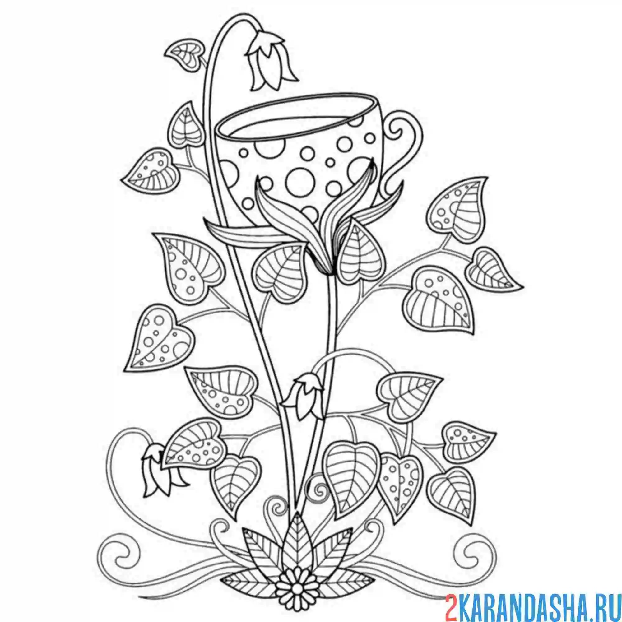 Раскраска чашка на цветке