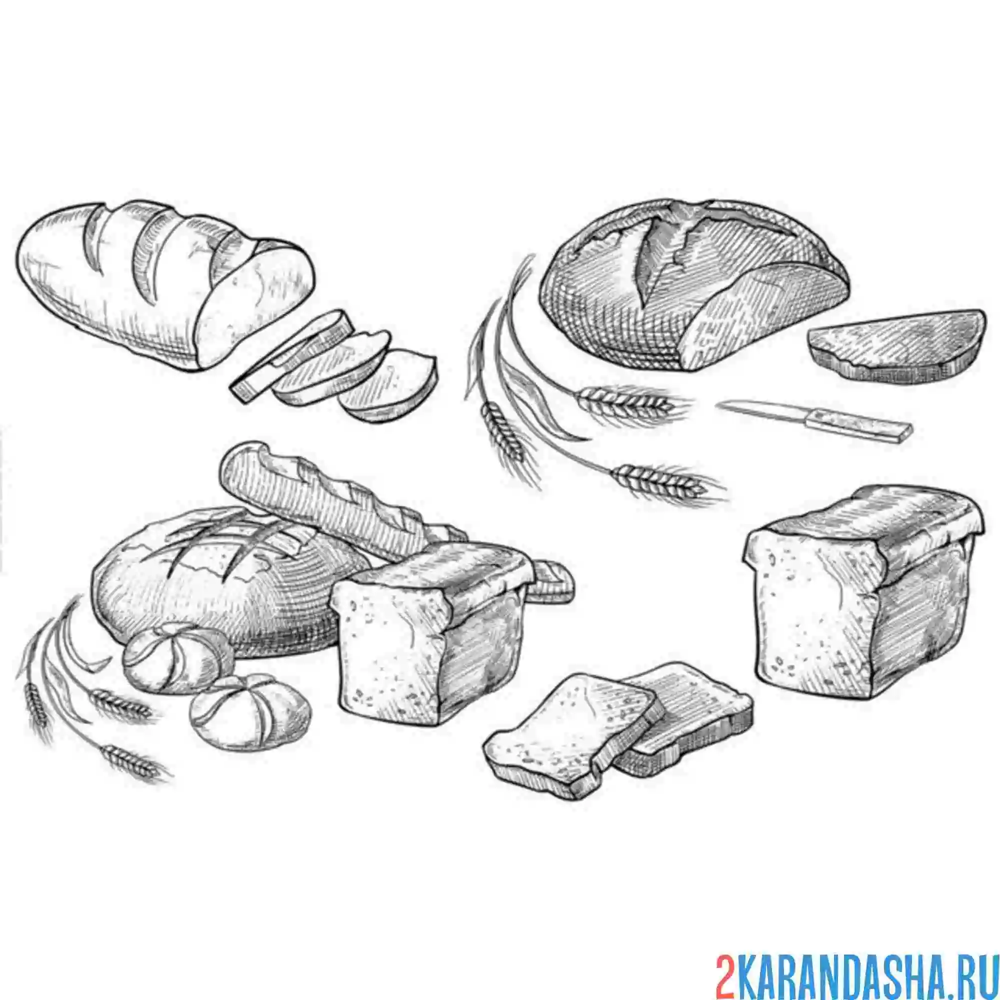 Раскраска пшеничный хлеб