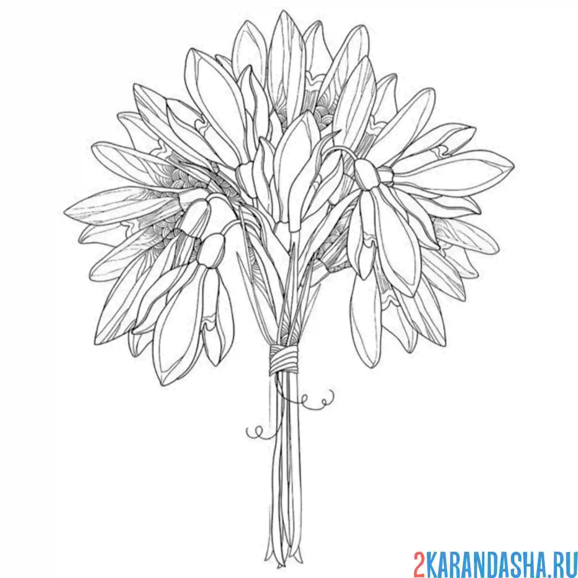 Раскраска подснежники букет