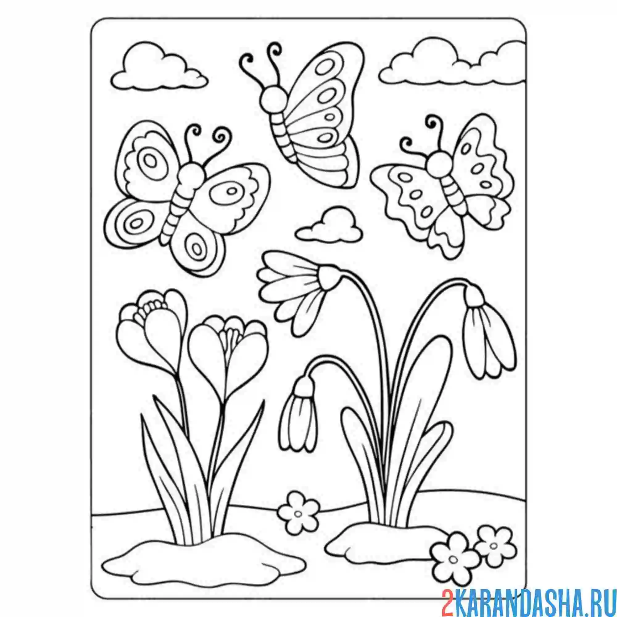 Раскраска бабочки и подснежники