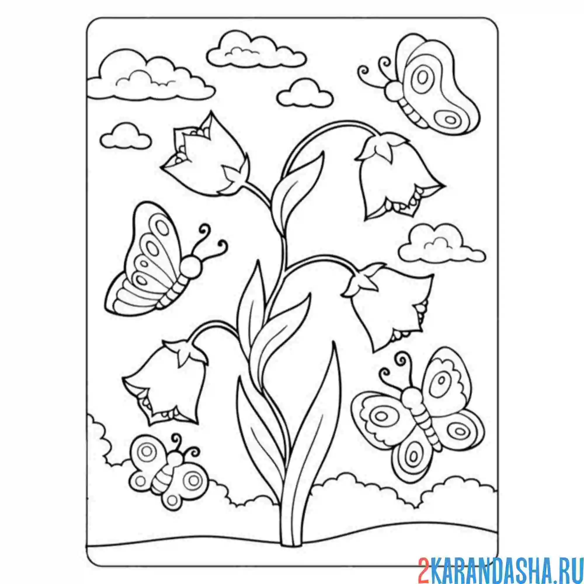 Раскраска бабочки тюльпаны колокольчики