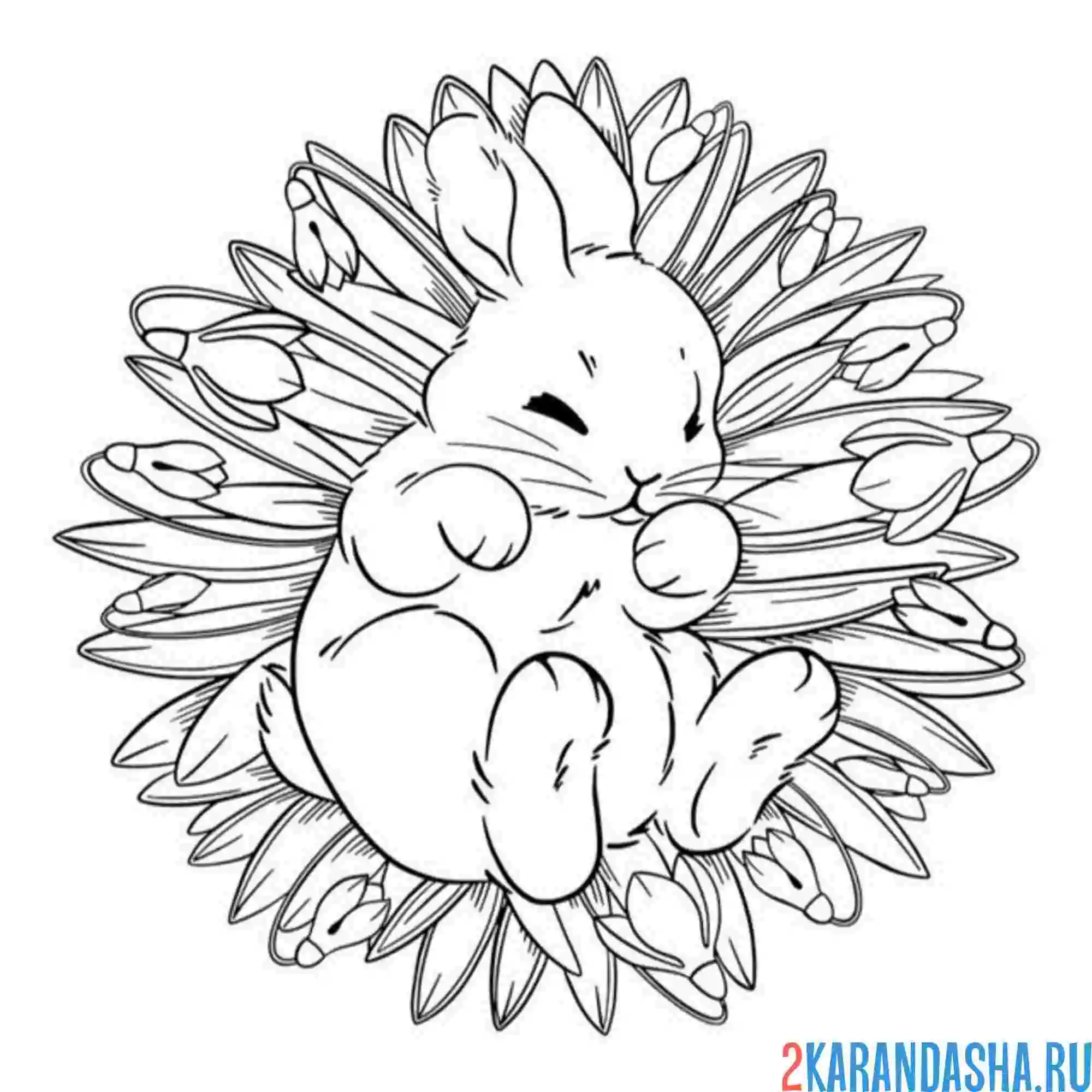 Раскраска зайчик и подснежники