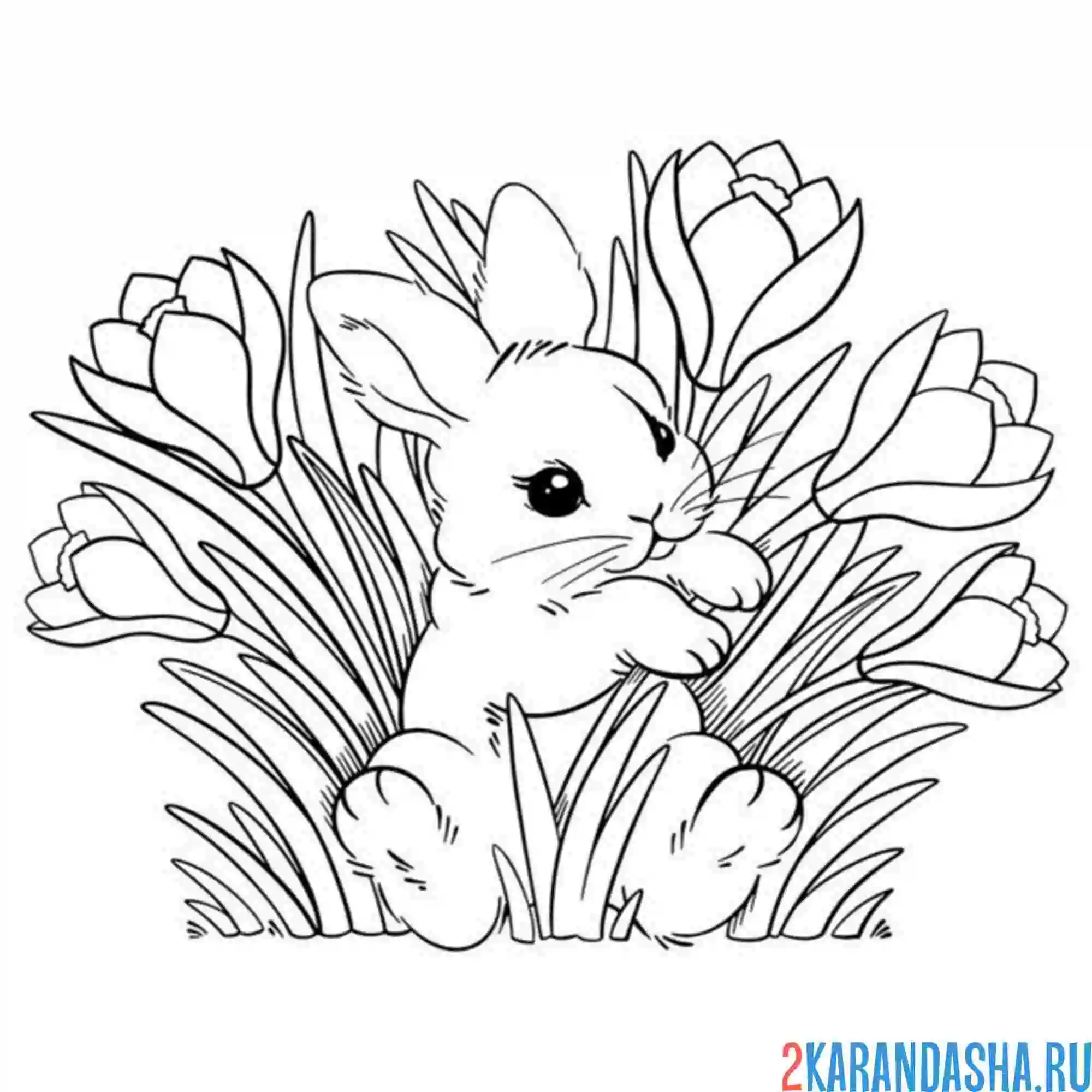 Раскраска подснежники и милый зайчик