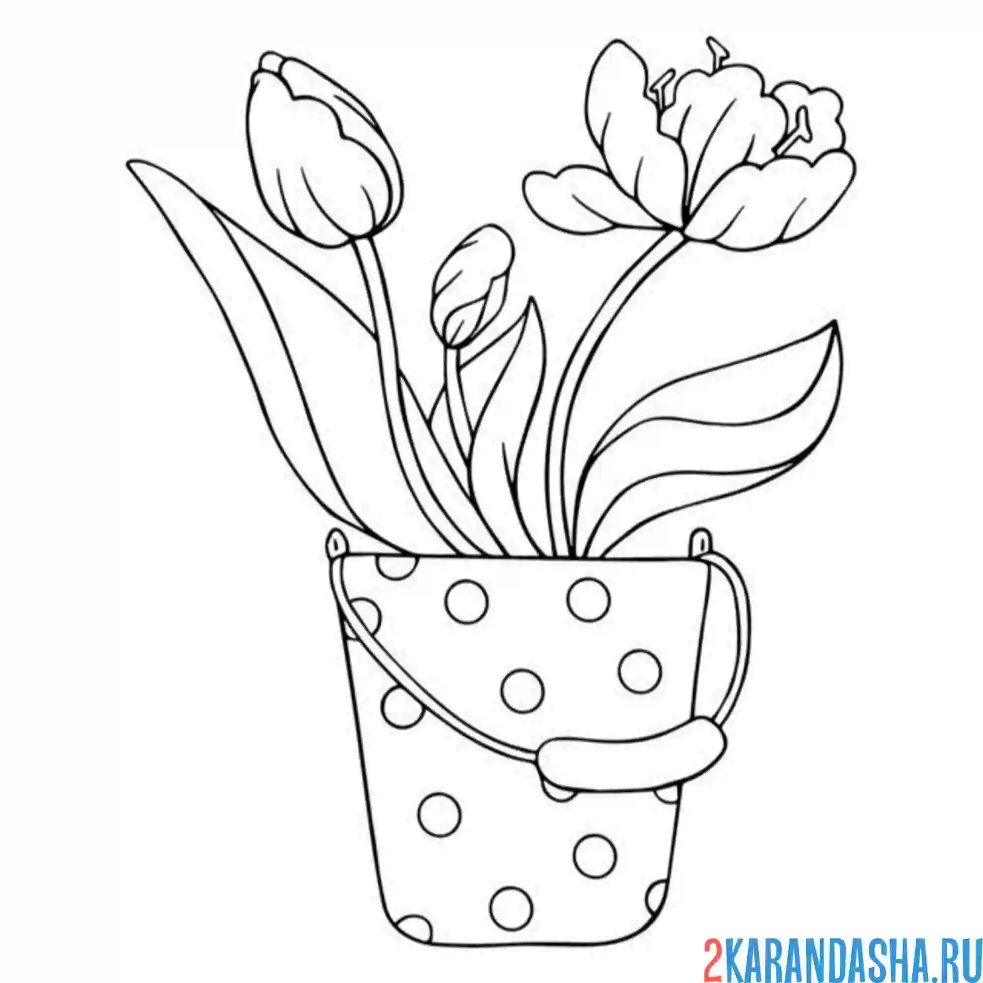 Раскраска подснежники и тюльпаны в ведерке