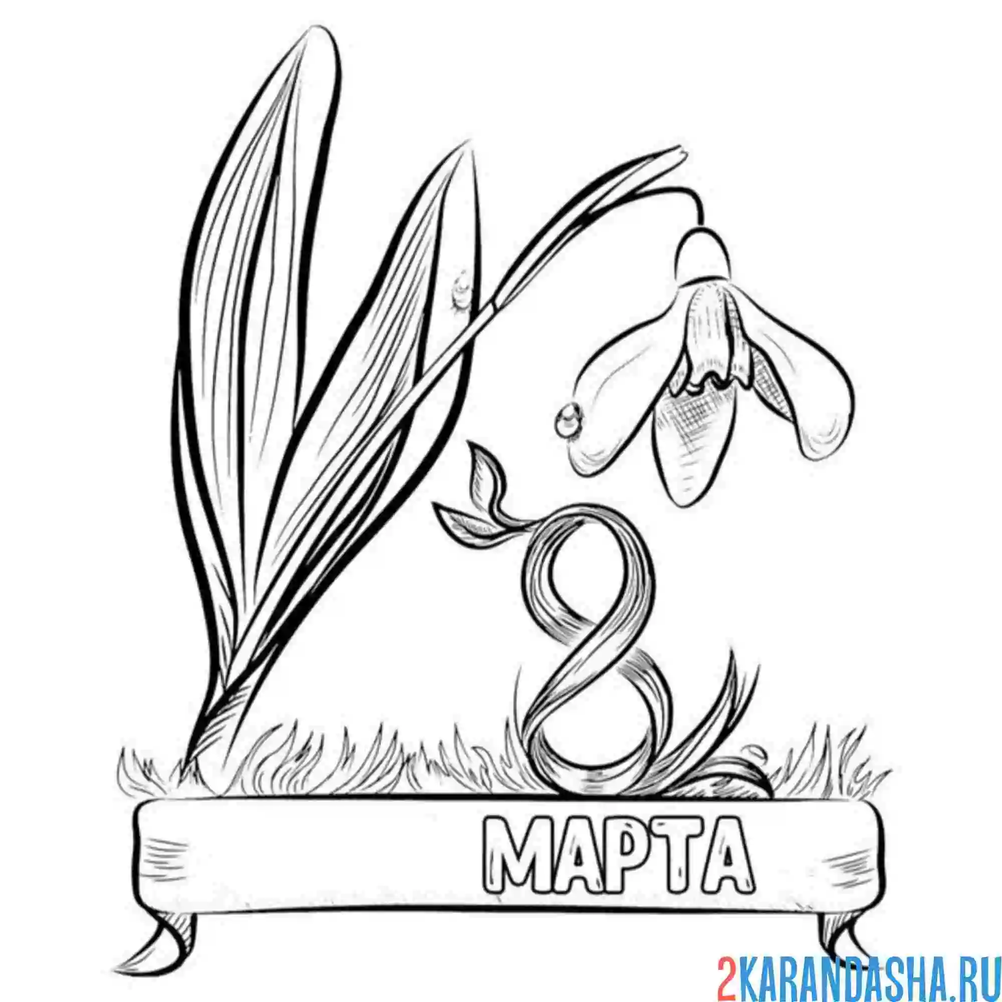 Раскраска на 8 марта подснежник