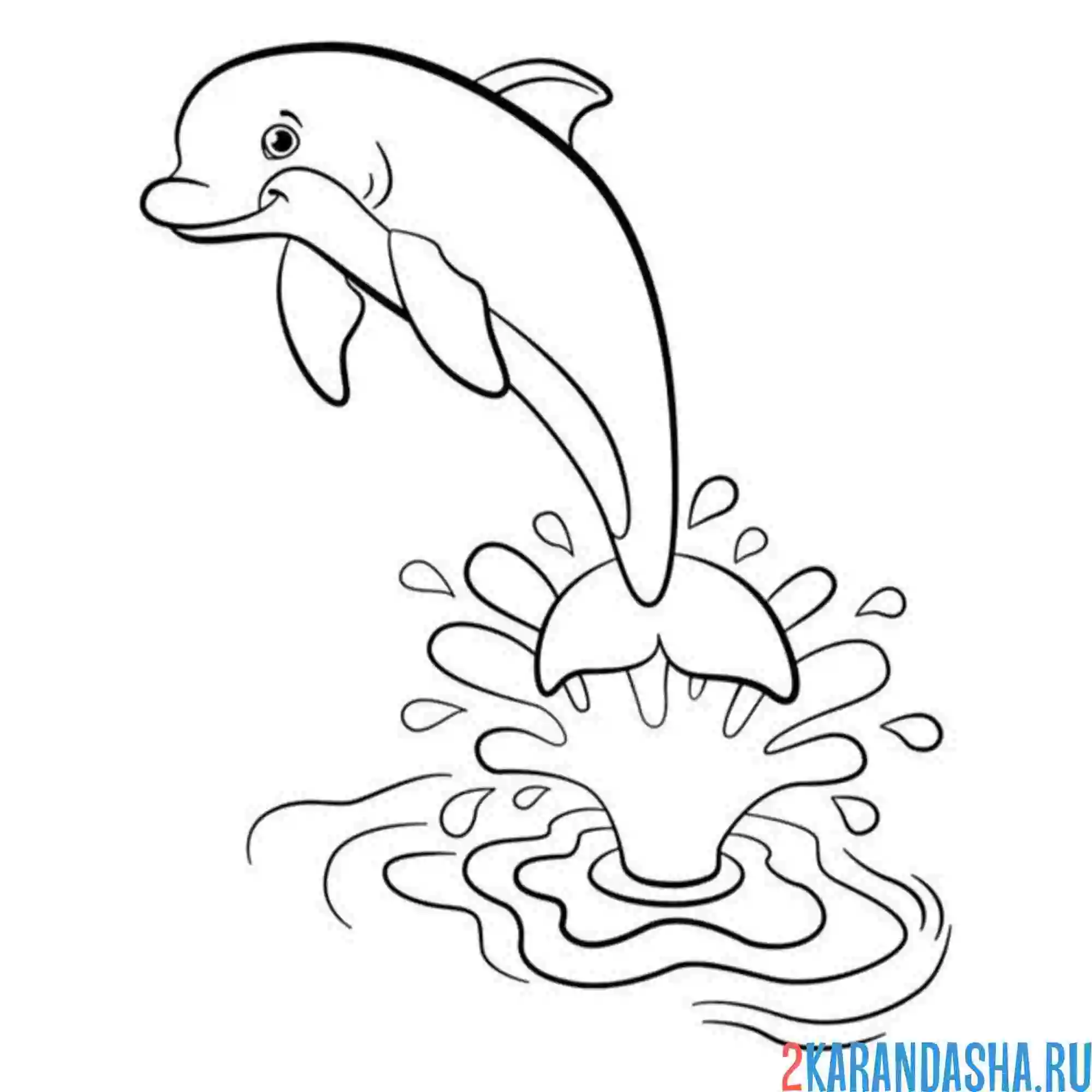 Раскраска дельфин волна море