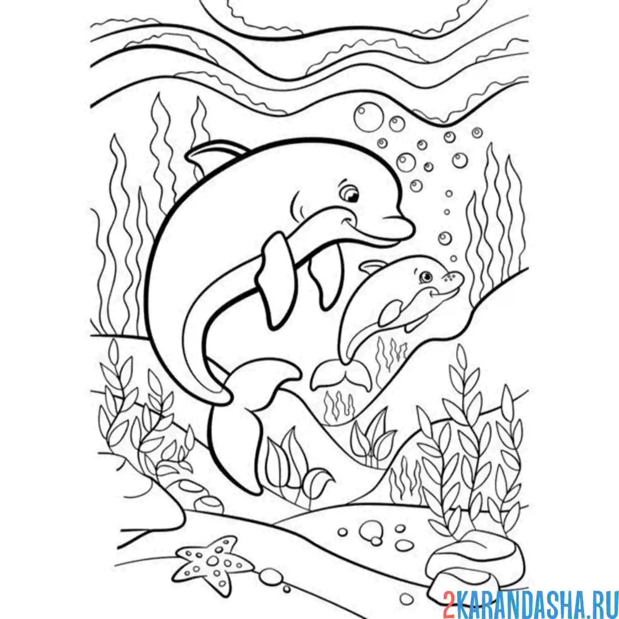 Раскраска дельфины мама и малыш