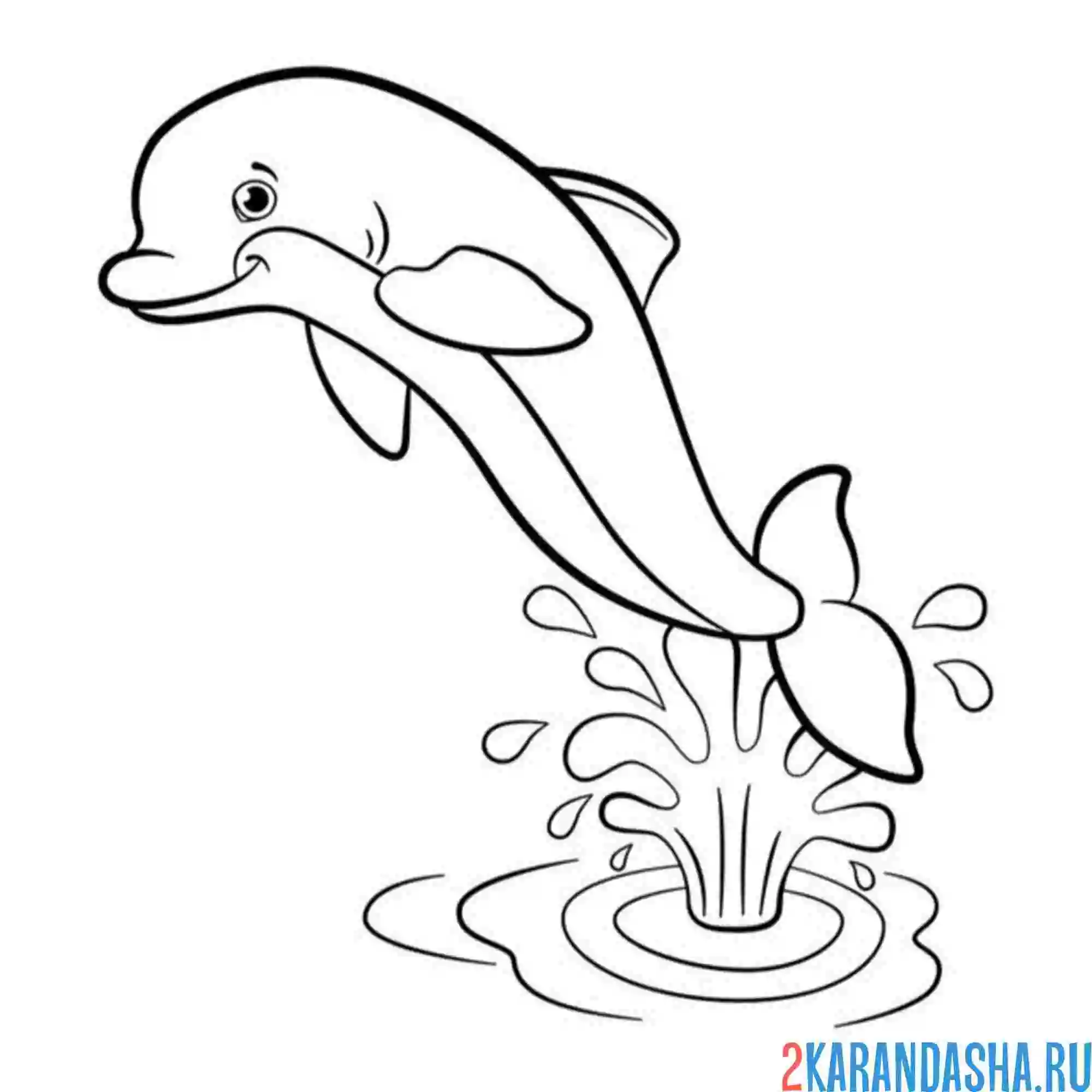 Раскраска дельфин прыжок