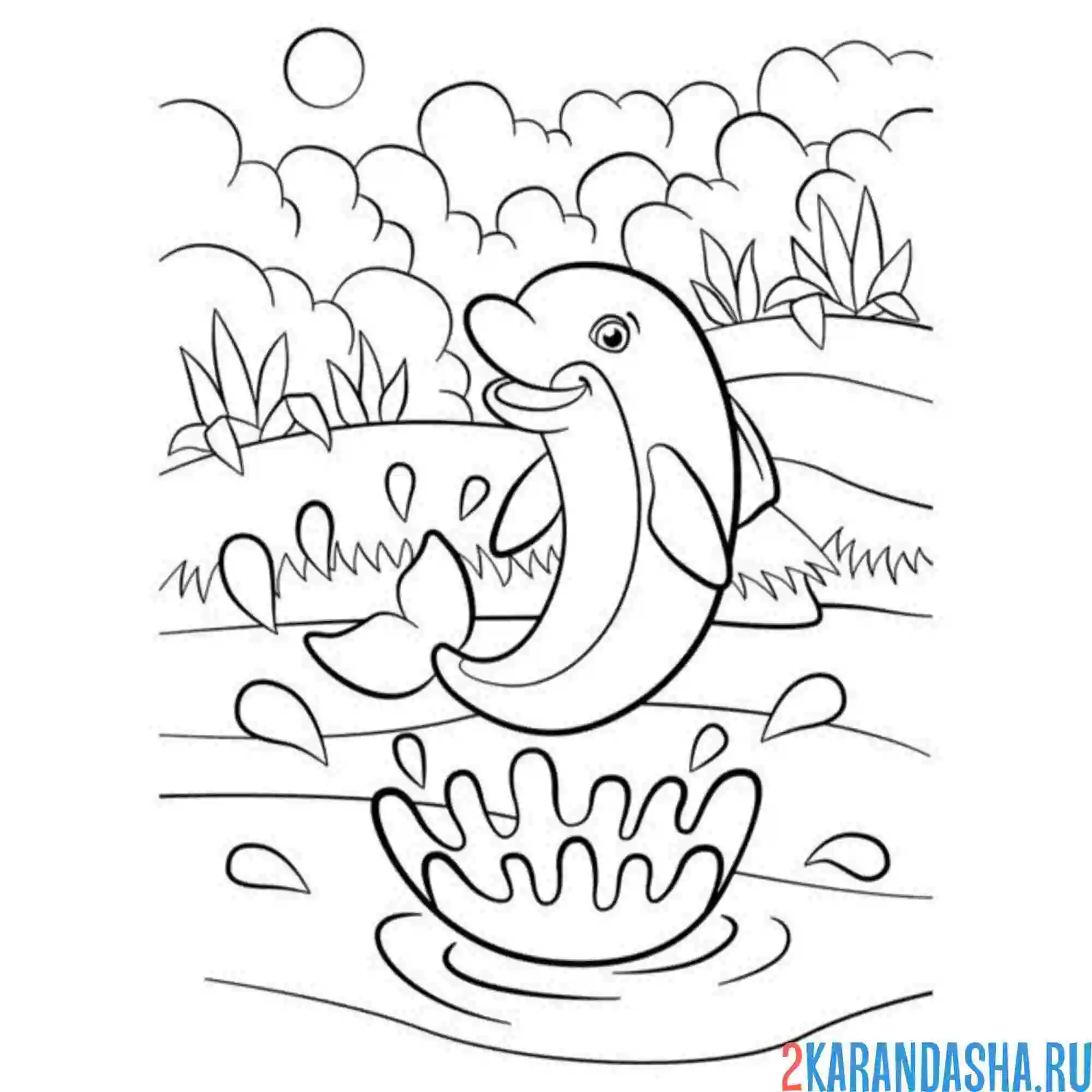 Раскраска дельфин в море